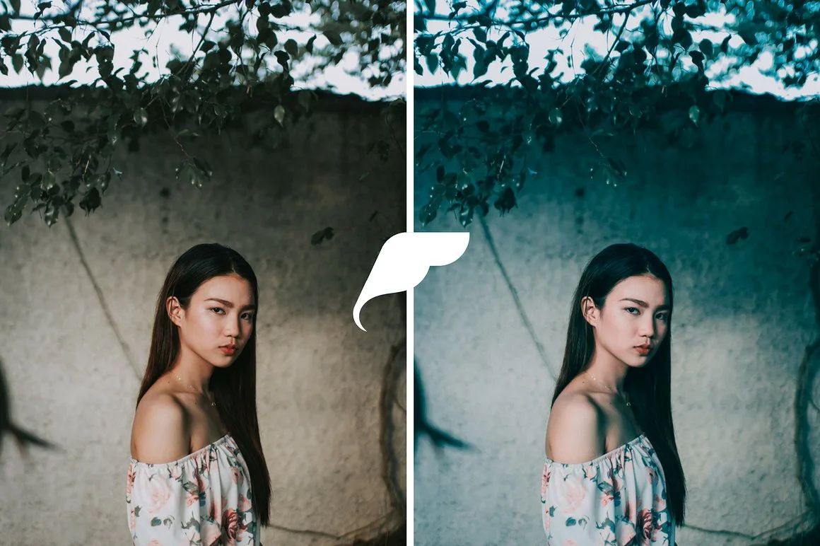 film-tone-lightroom-preset-bundle-filtercrave-creative-market-5-.jpeg