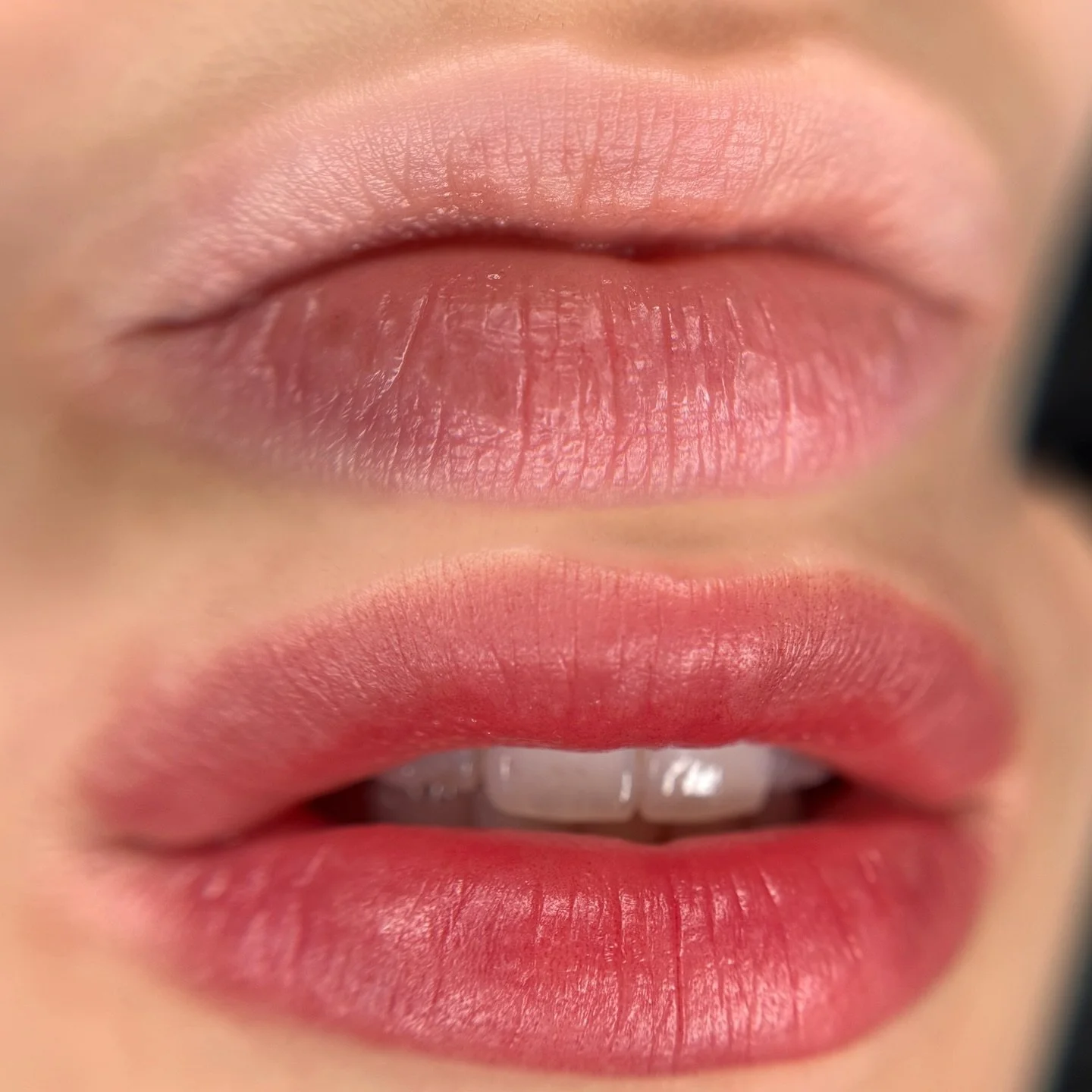 Pale lips? We don&rsquo;t know her 😽🙂&zwj;&harr;️ This client wanted to define the borders of her lips, bump up the color, but keep things looking natural. My favorite kind of Lip Blush! 🍒 Now booking February &amp; March at @fiction.la 💒✨ #lipbl