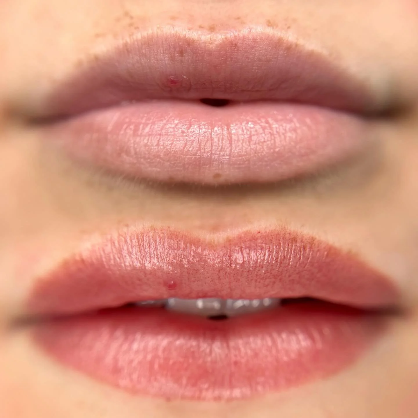 Lip Blush is the perfect summer accessory 💋🌺🌹🍒🌸 Enhance your lip shape and tone with minimal downtime and long lasting, natural results ✨ Now booking through September! 😽 #lipblush #losangeleslipblush #liptattoo #losangeles #lipgloss