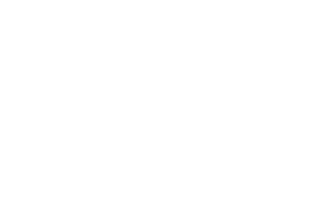 olive grace collective