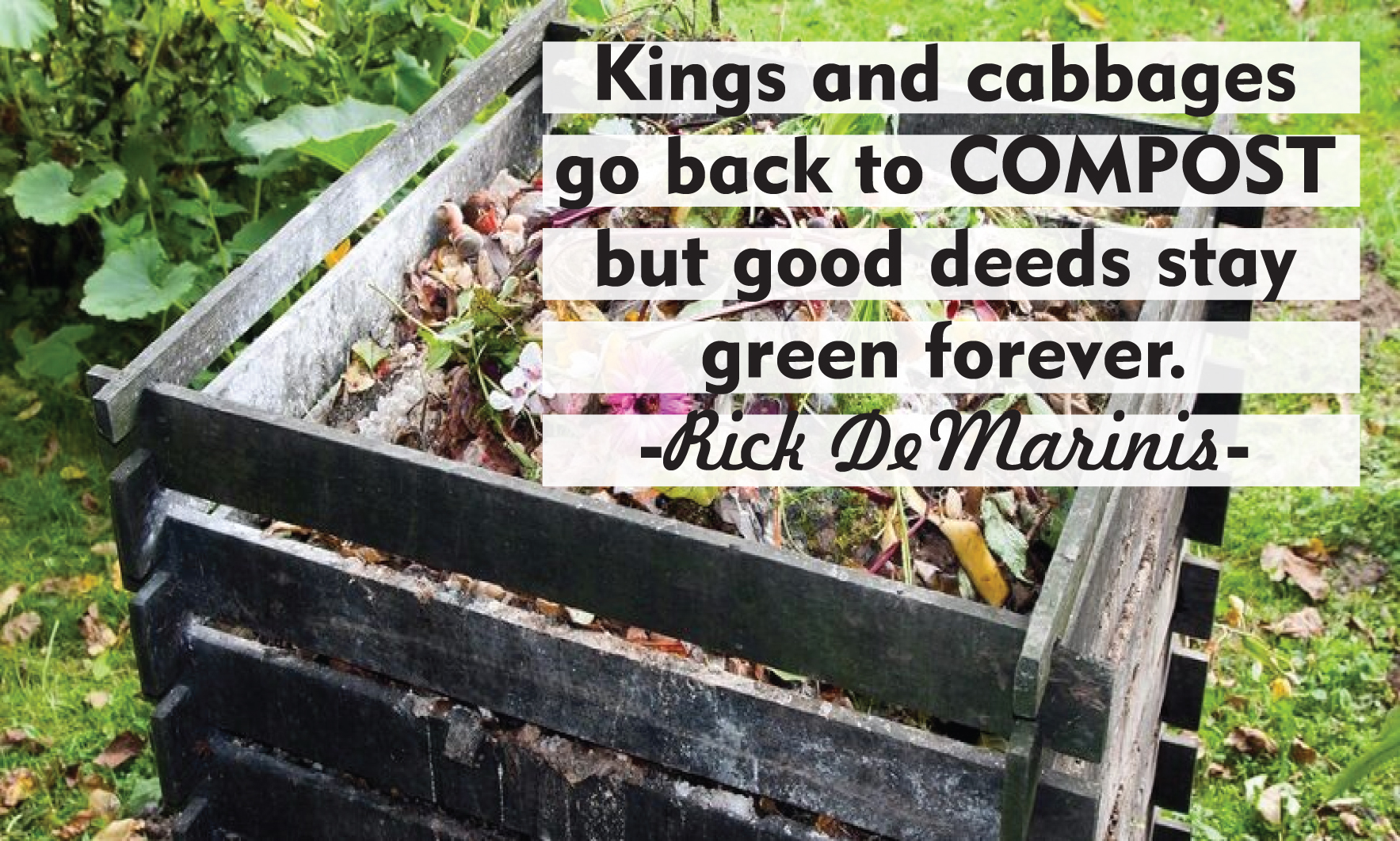 compost kings and cabbages.jpg