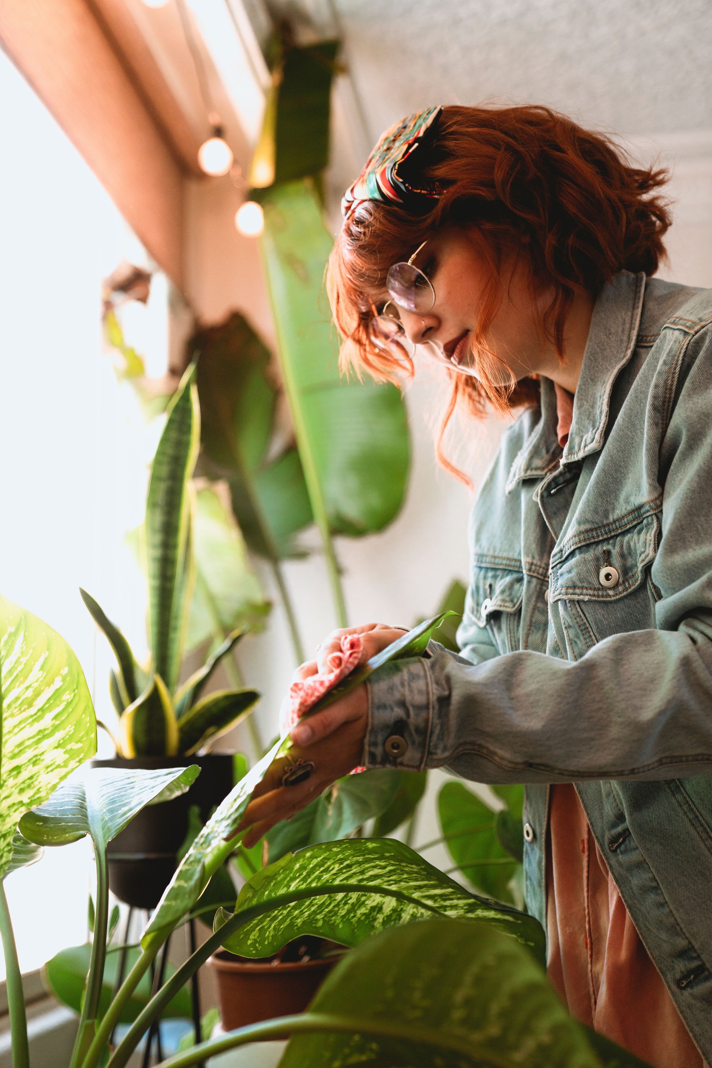 White woman cleaning house plants