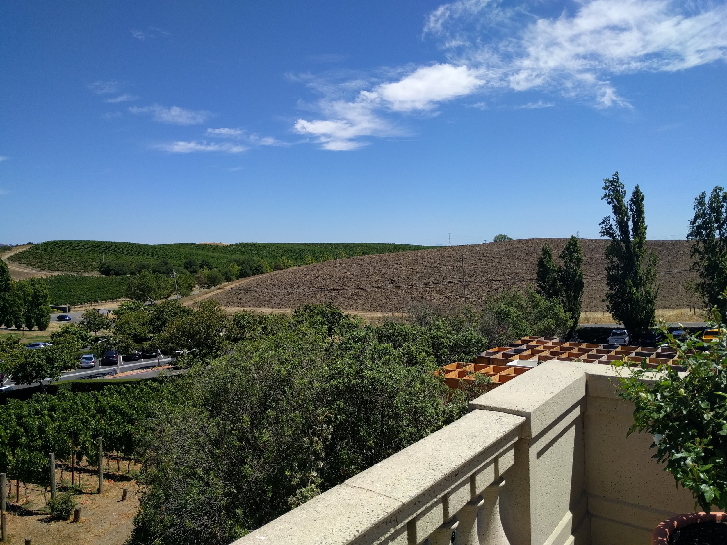 2017-08-13 14.09.44.jpg