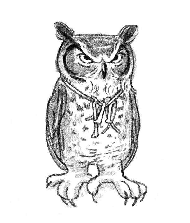 great horned owl illustration
