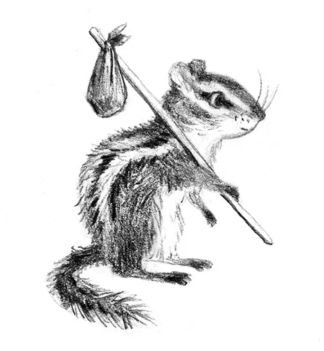 chipmunk illustration