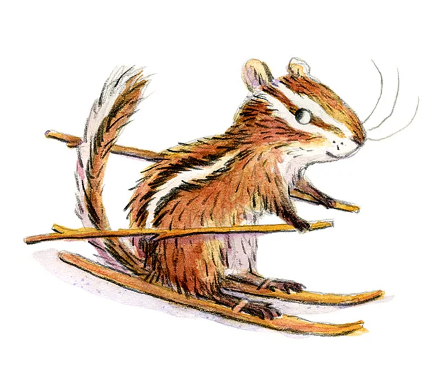 chipmunk illustration