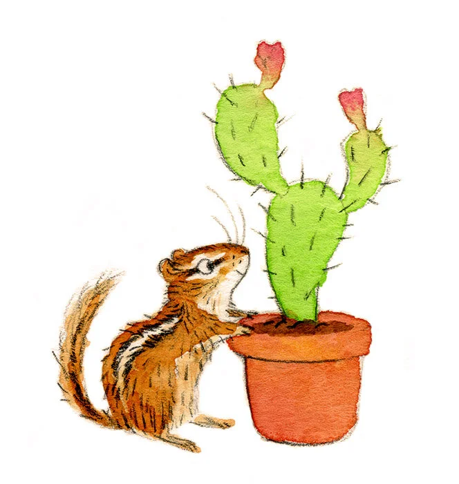 chipmunk illustration