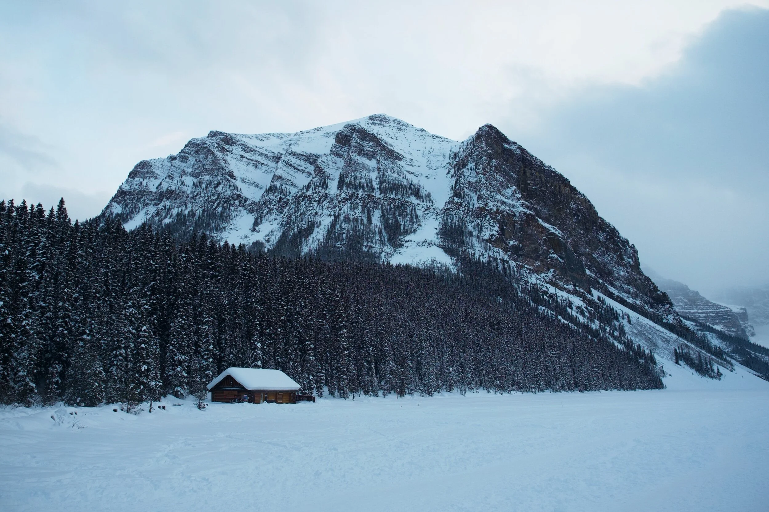 5D1FA3DF-D608-43C9-8934-3950973F42C0