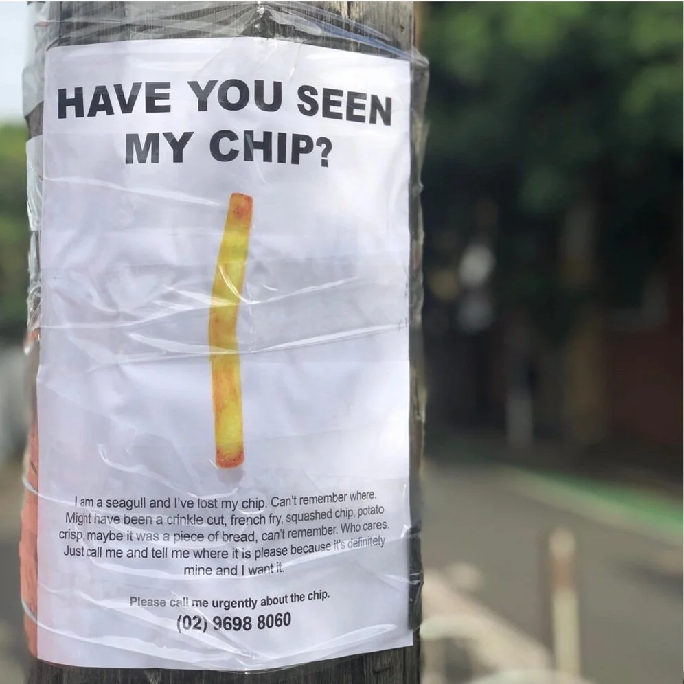 Seen-my-chip-thumbnail.jpg