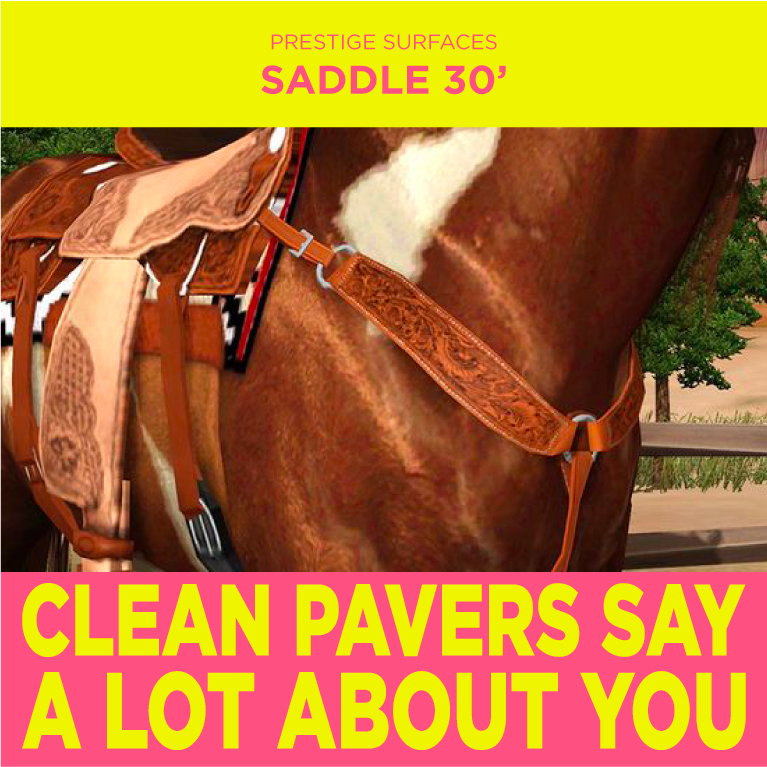 PRESTIGE-CASE-STUDY-2 - SADDLE.png
