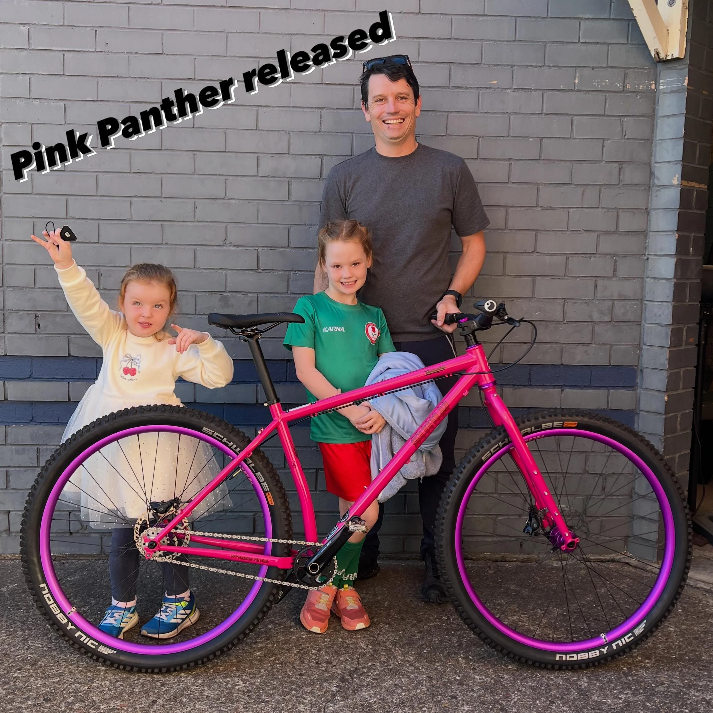 Ross and the two little bosses came in to release the Pink Panther, one gear to rule them all.
#surlykrampus