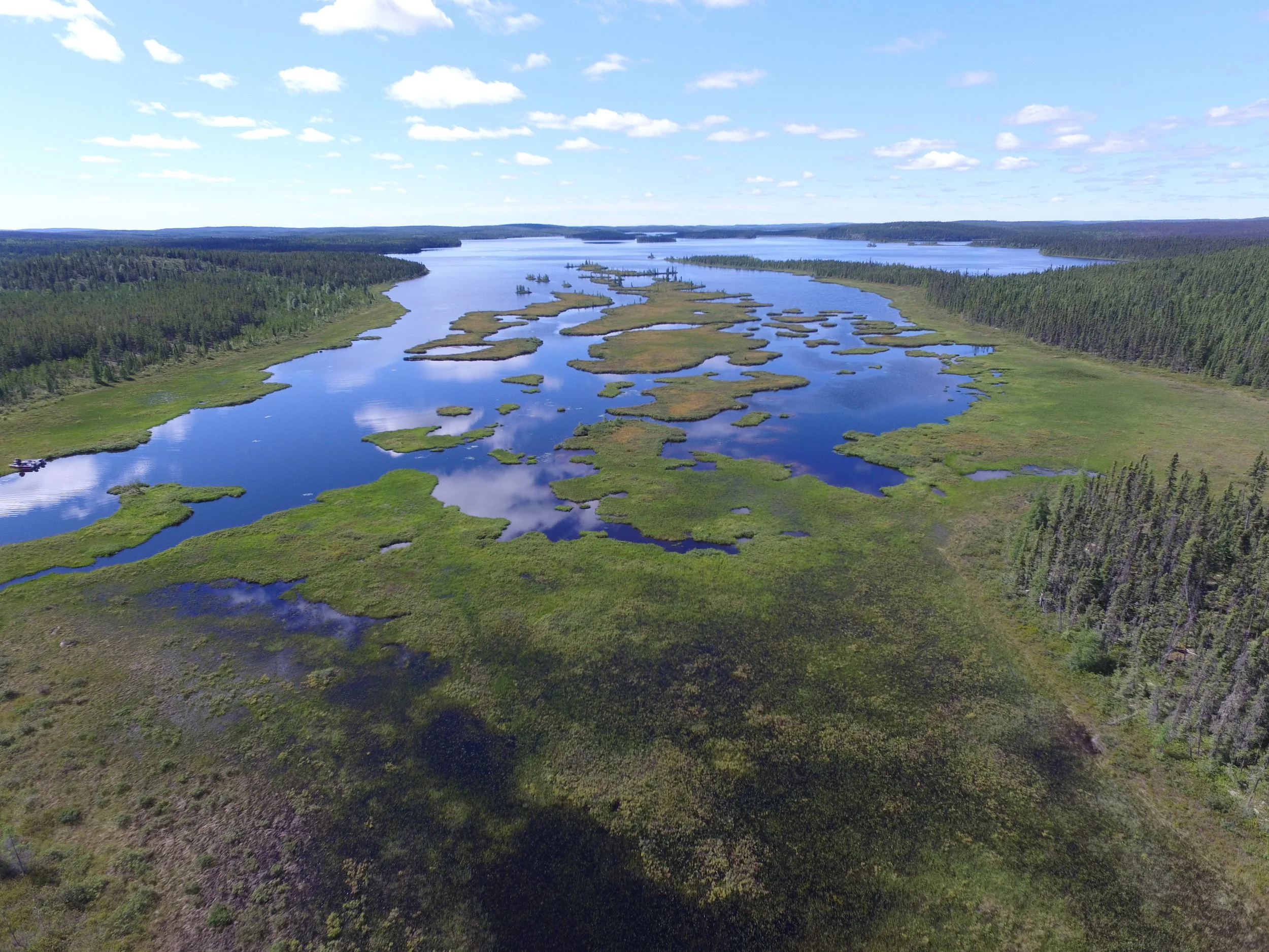 DJI_0003.JPG