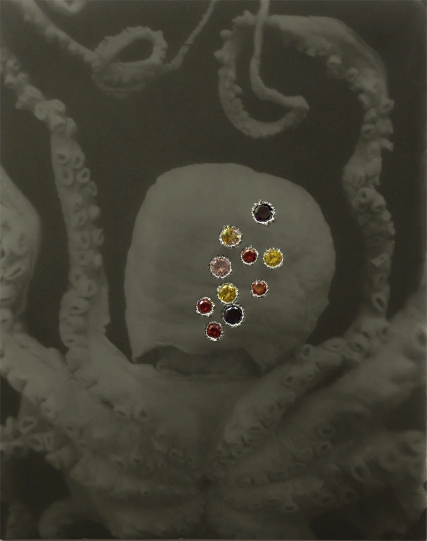 Public programme - Haukāinga, True people/Home