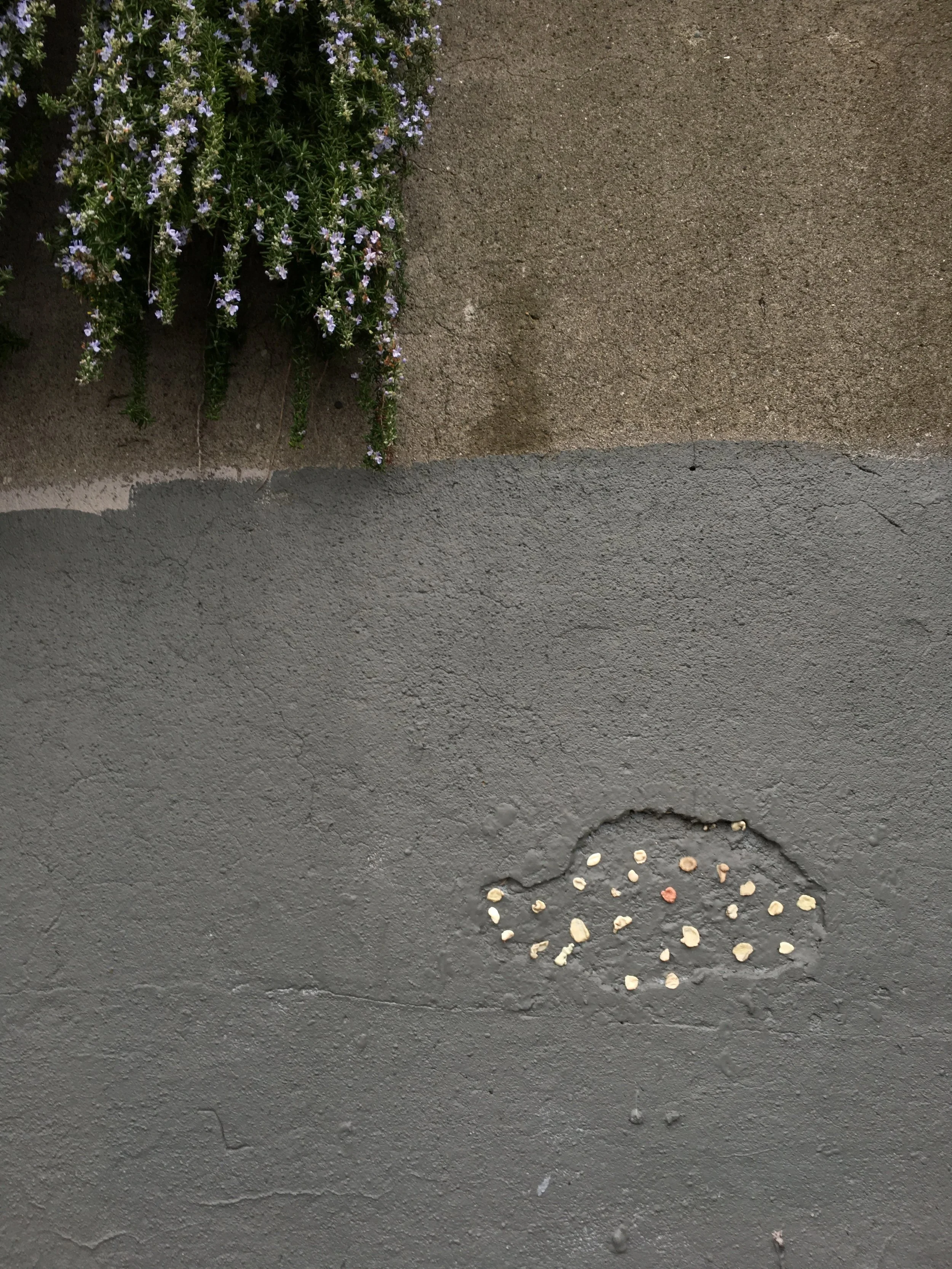 Weather Dependant: a spring art walk 