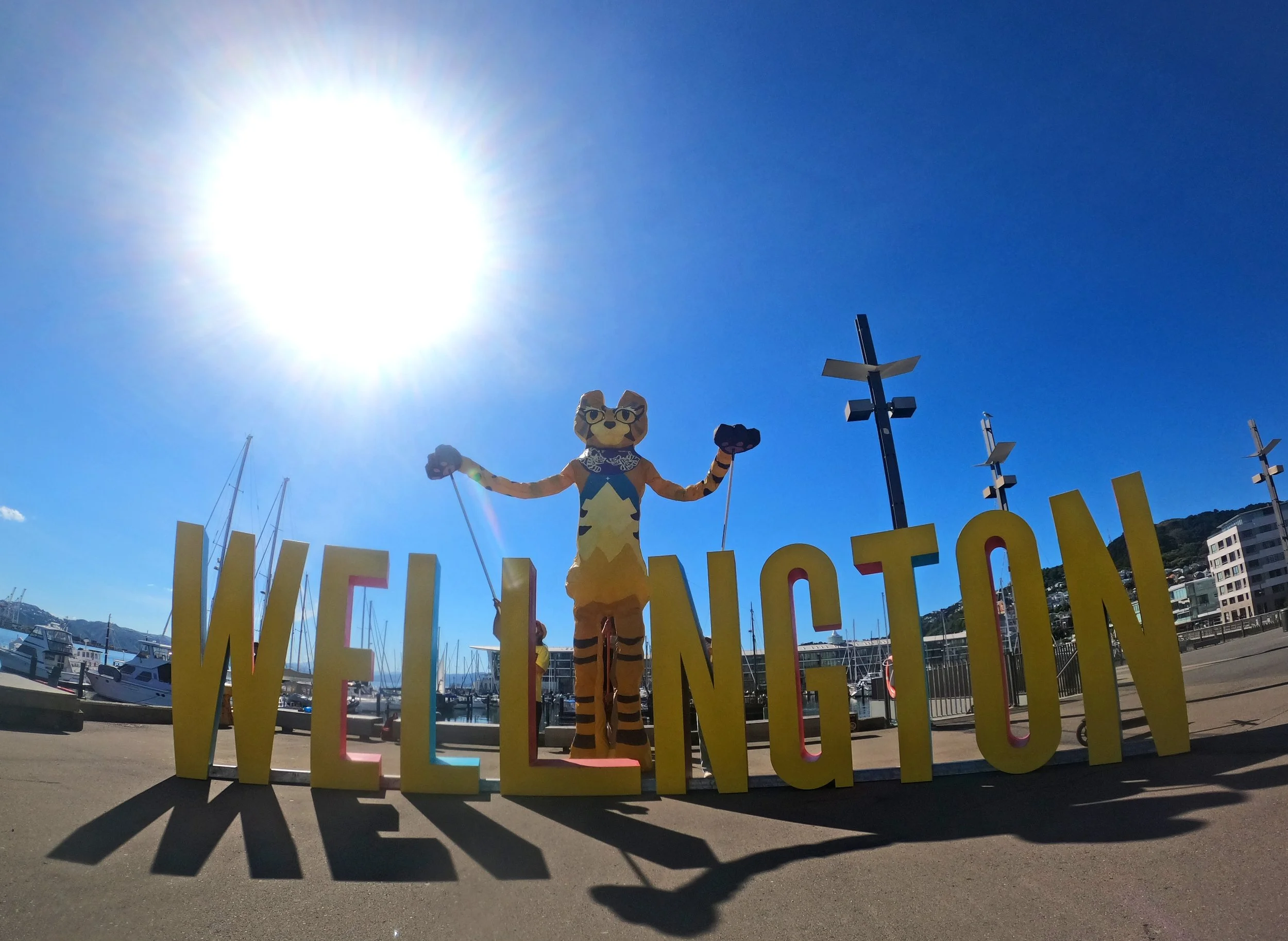 Here &amp; Out Public performance