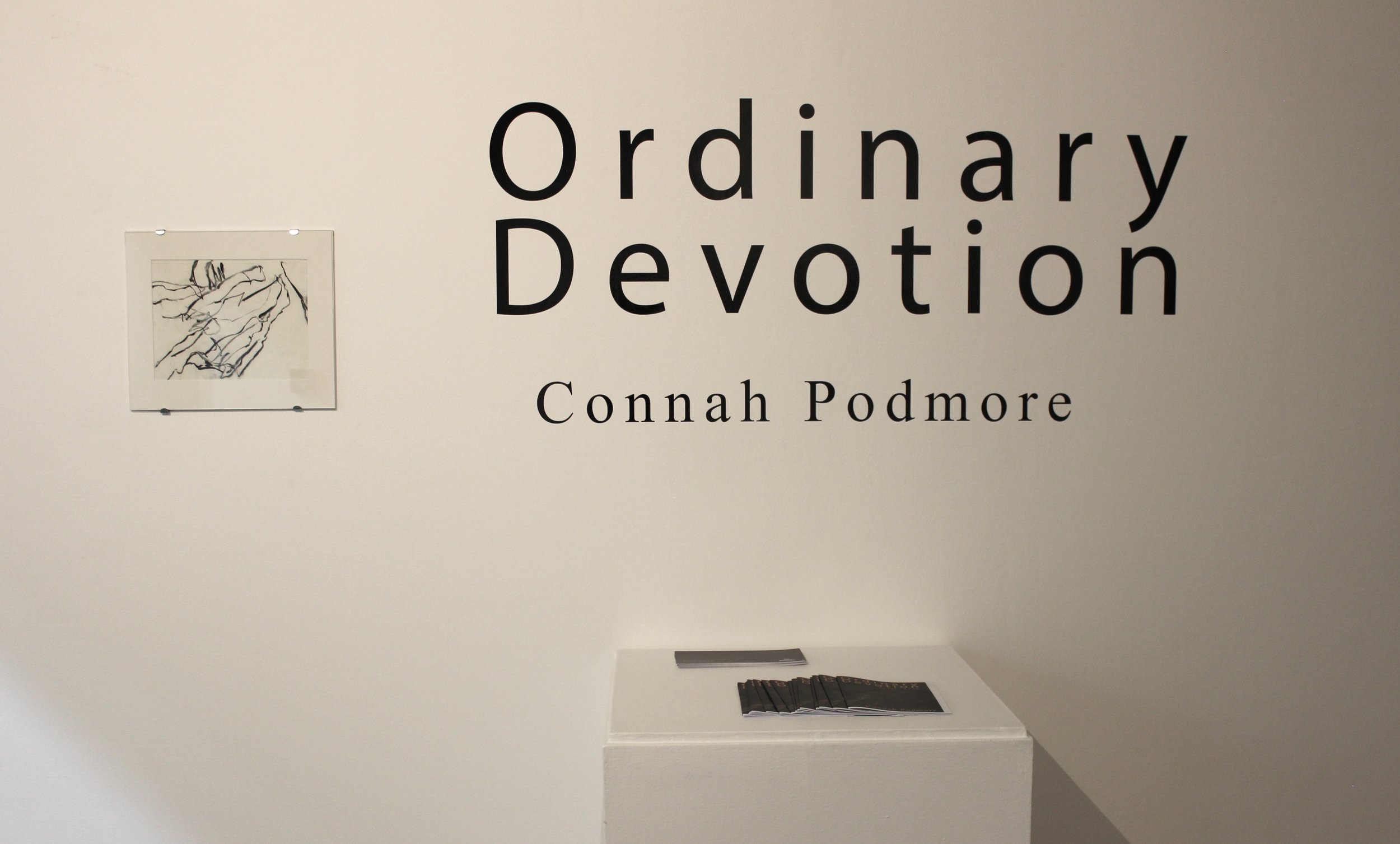 Ordinary devotion - Exhibition - 18 of 22 (1).jpeg