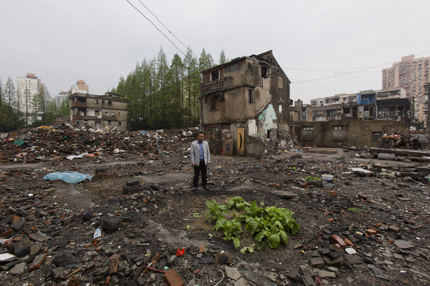 Man stares at a newly planted garden surrounded by debris and rubble. Guangfu Road. Shanghai, China. 2016.