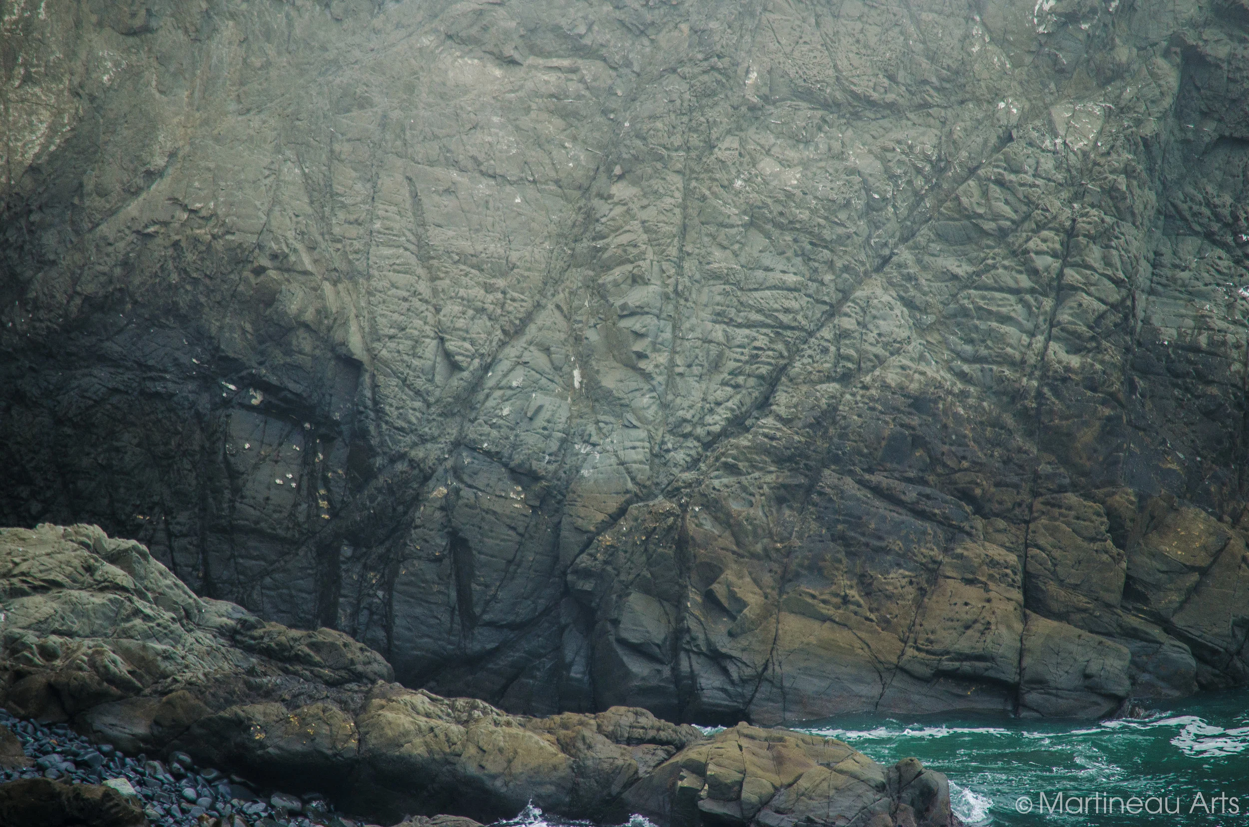 DSC_0024.jpg