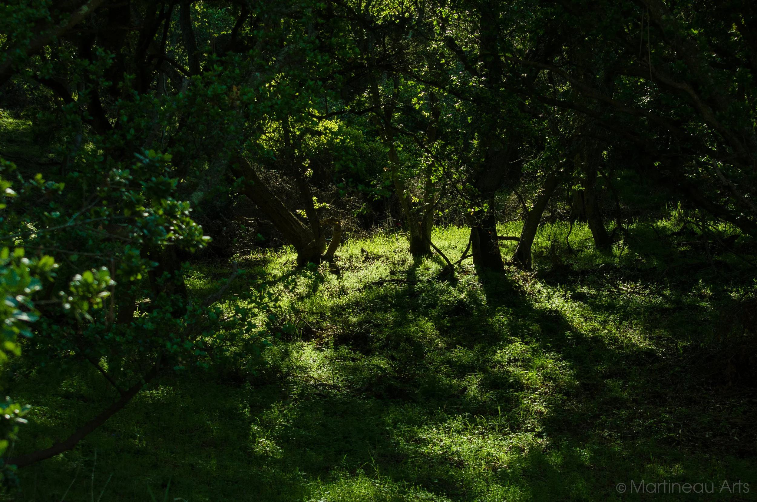 DSC_0124.jpg