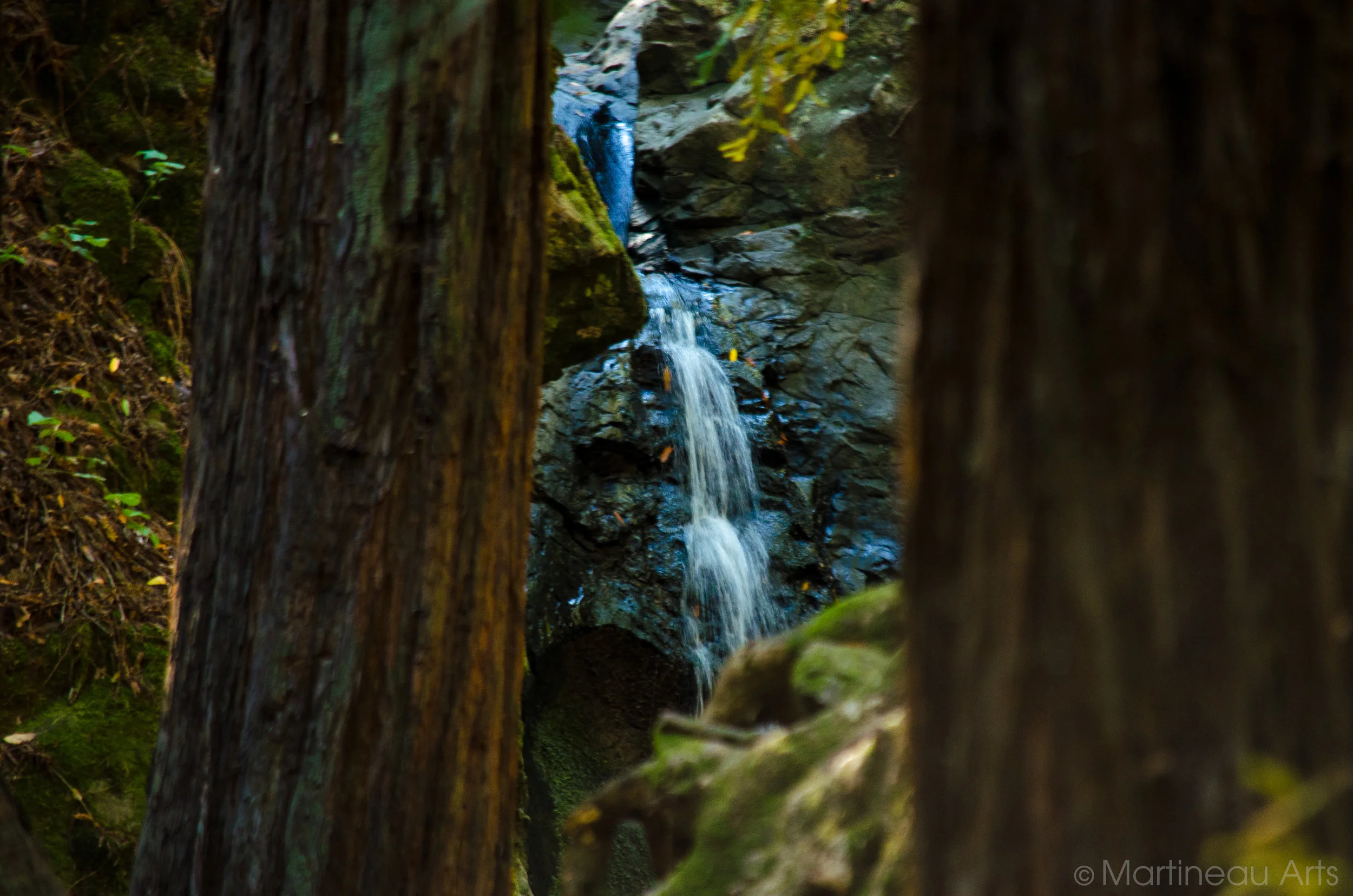 DSC_0250.jpg