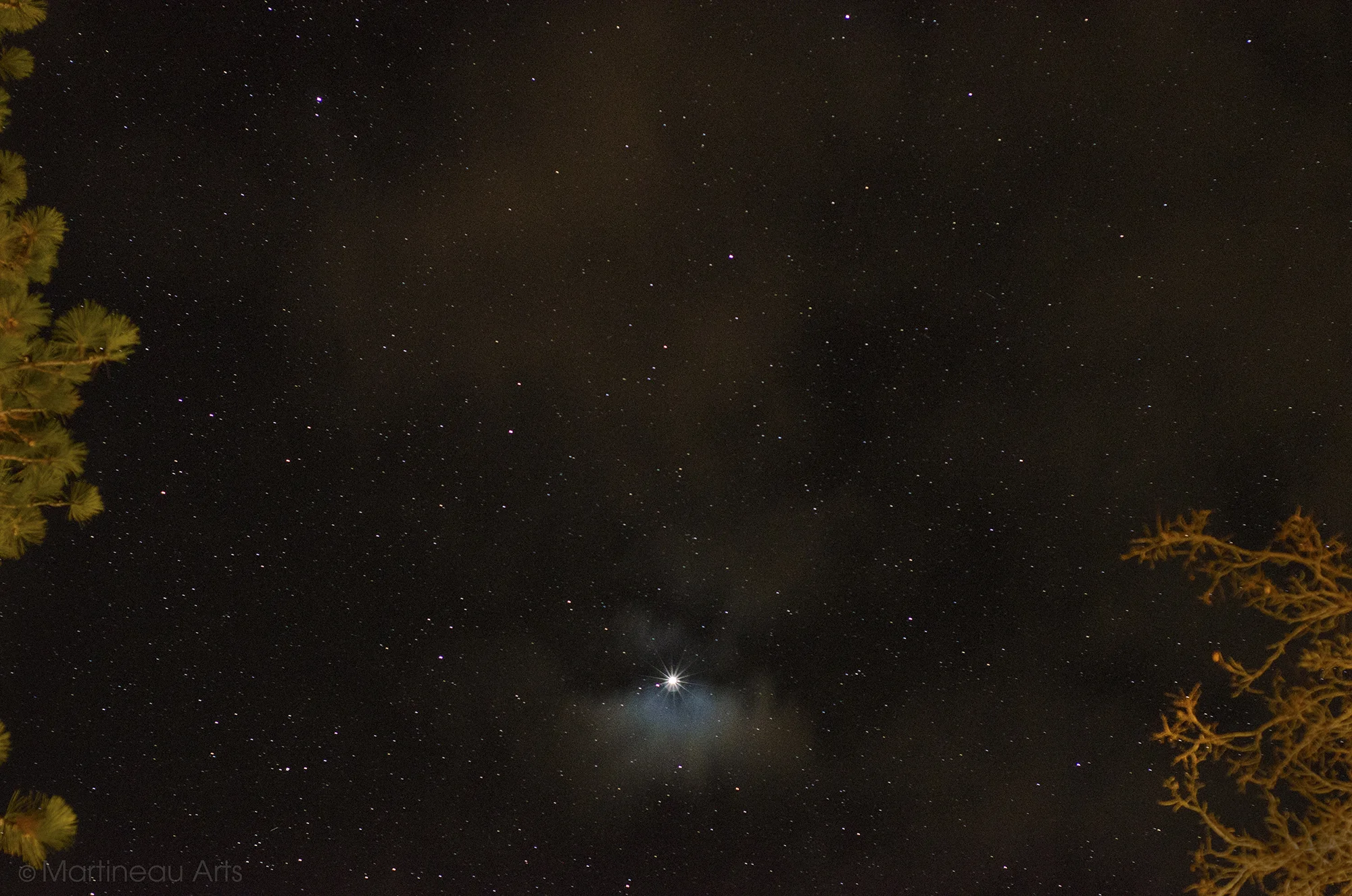 DSC_0008 2.jpg