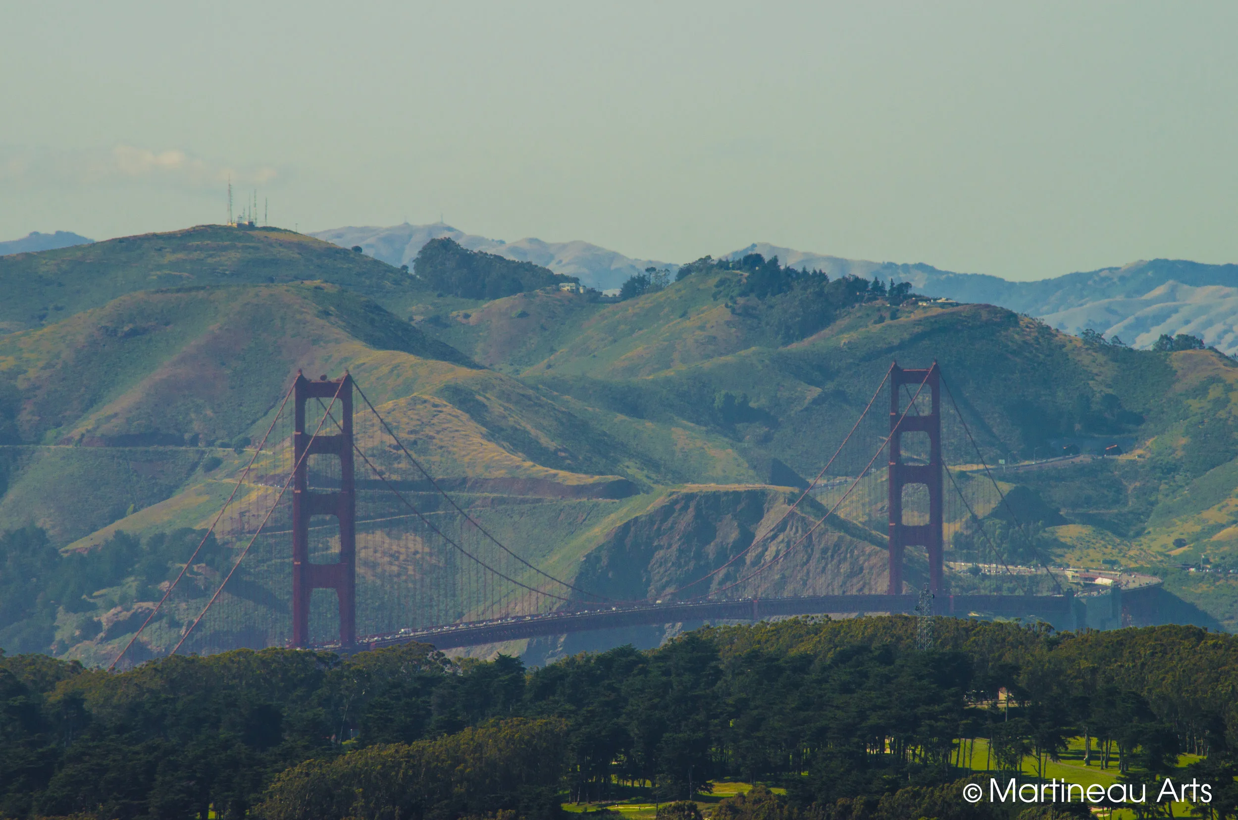 DSC_0016.jpg