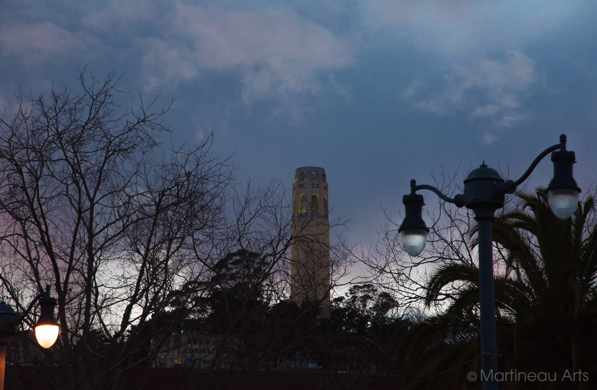 DSC_2954.jpg
