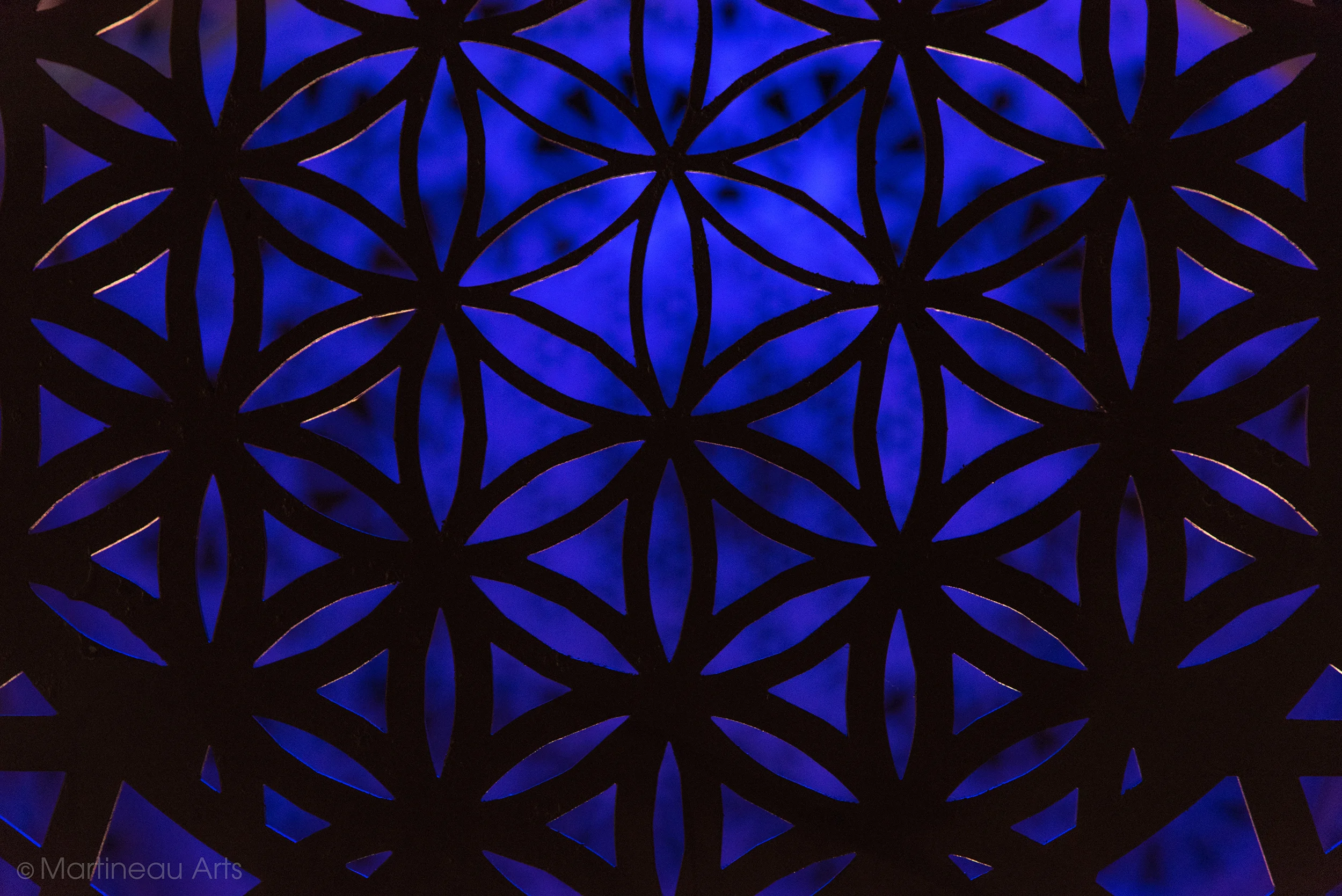 DSC_3232.jpg