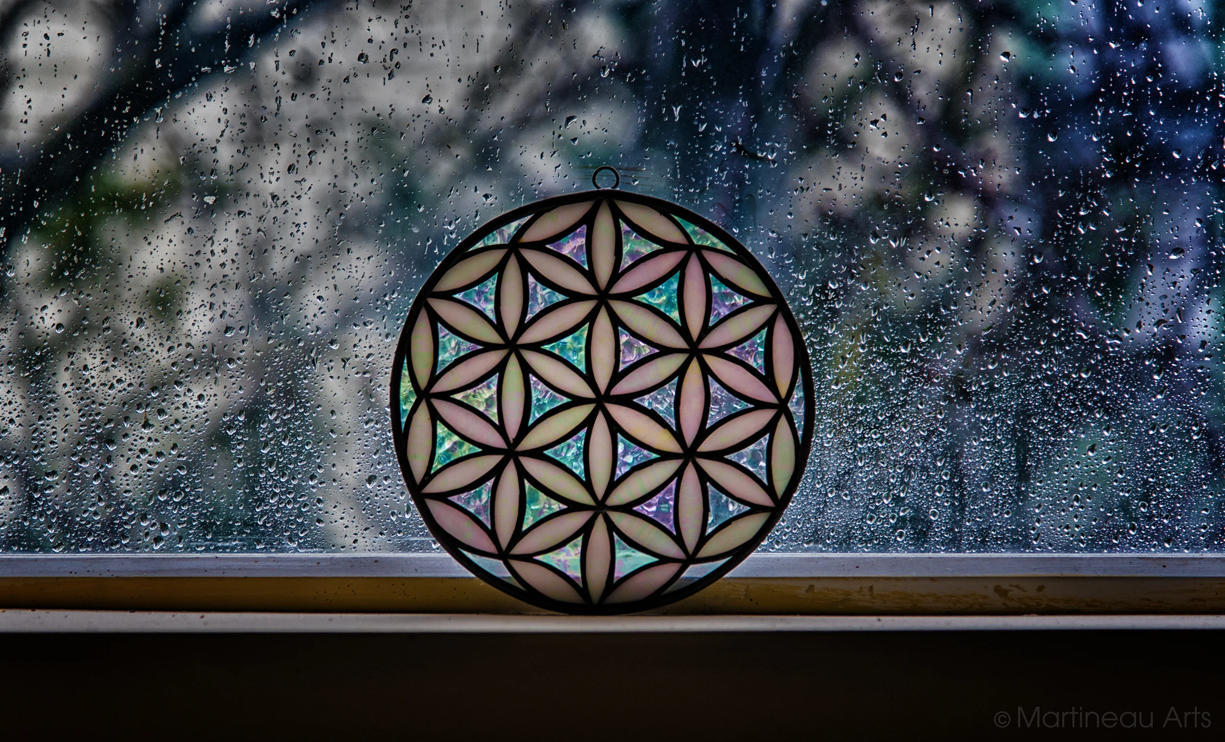 DSC_6022_web.jpg