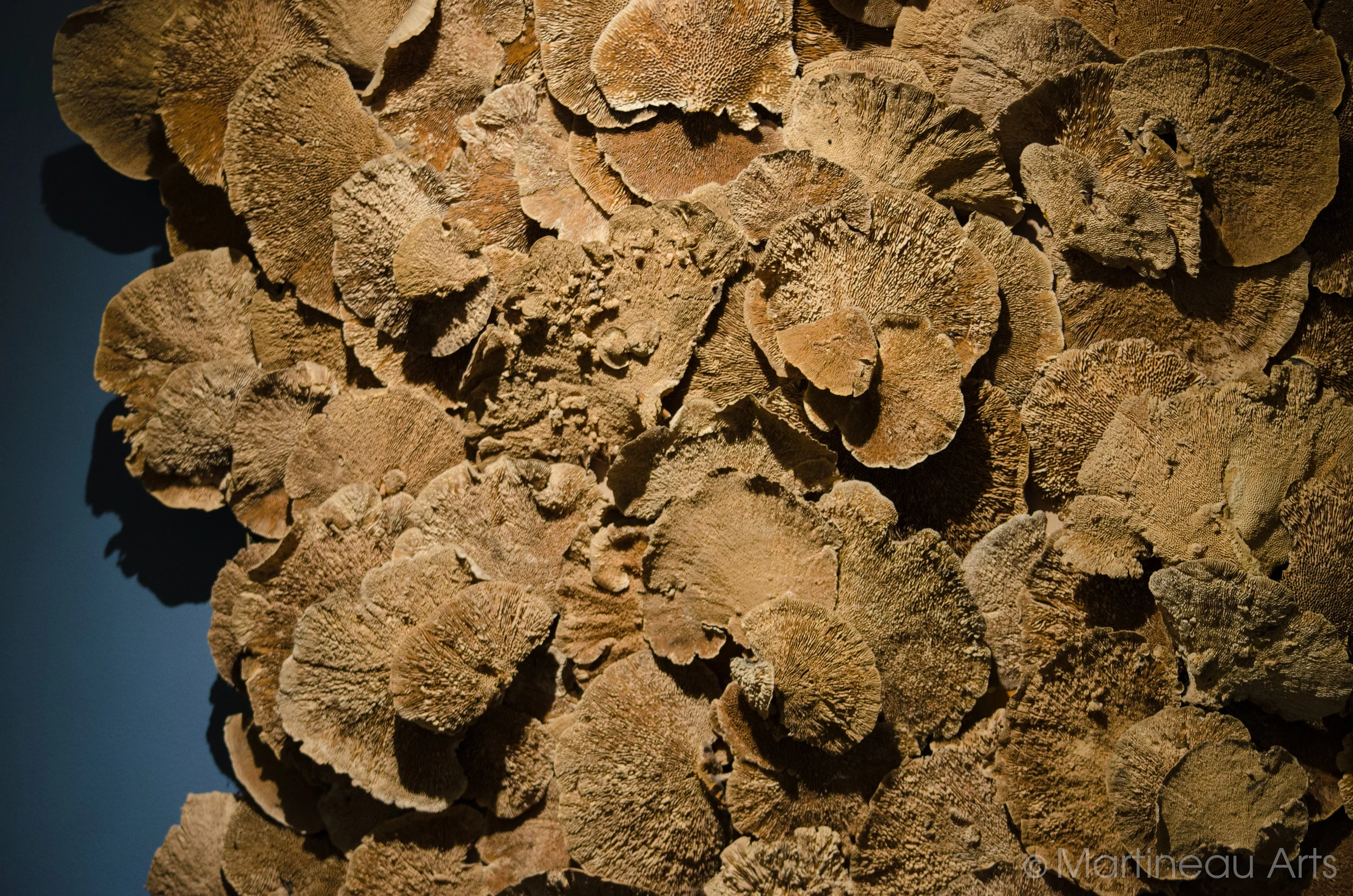 Feb2013156.jpg