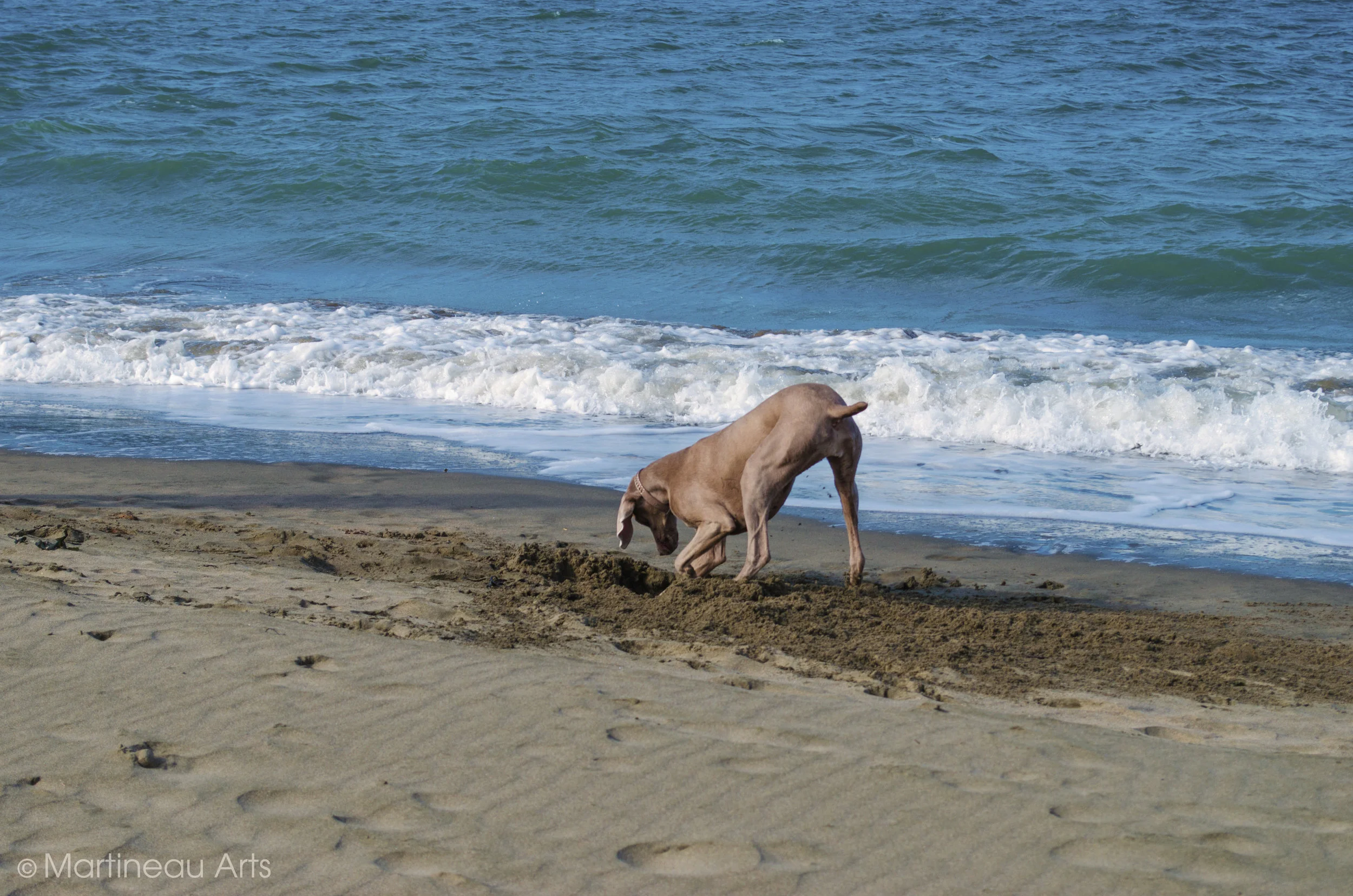 DSC_0060.jpg