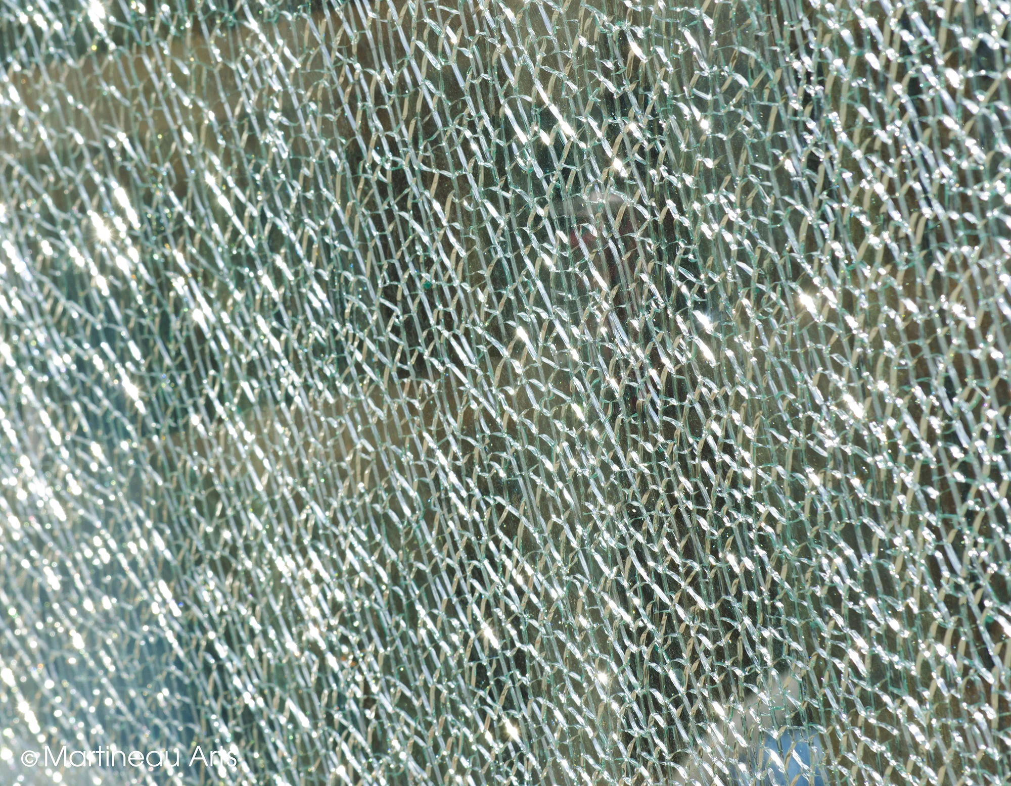 DSC_0024.jpg