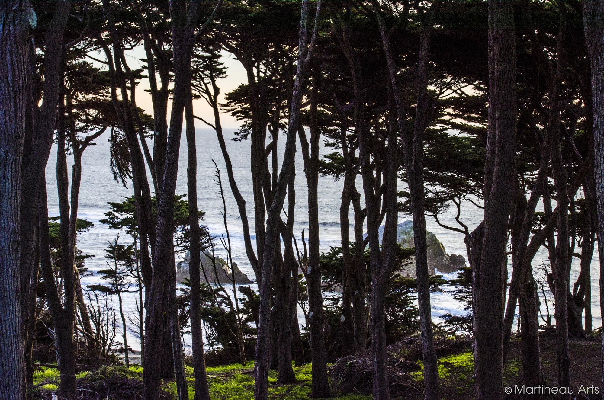 DSC_0155.jpg