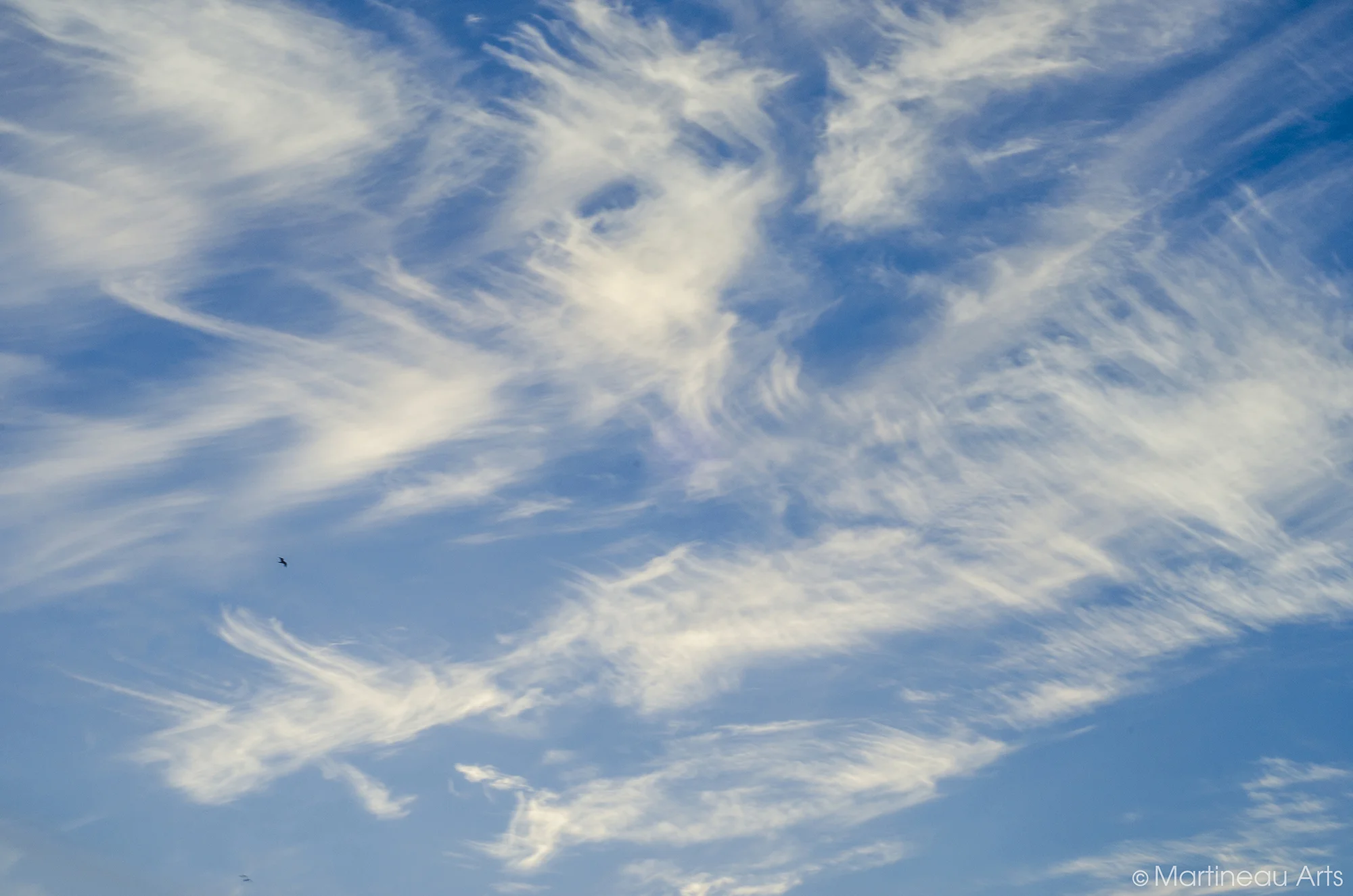 DSC_0174.jpg