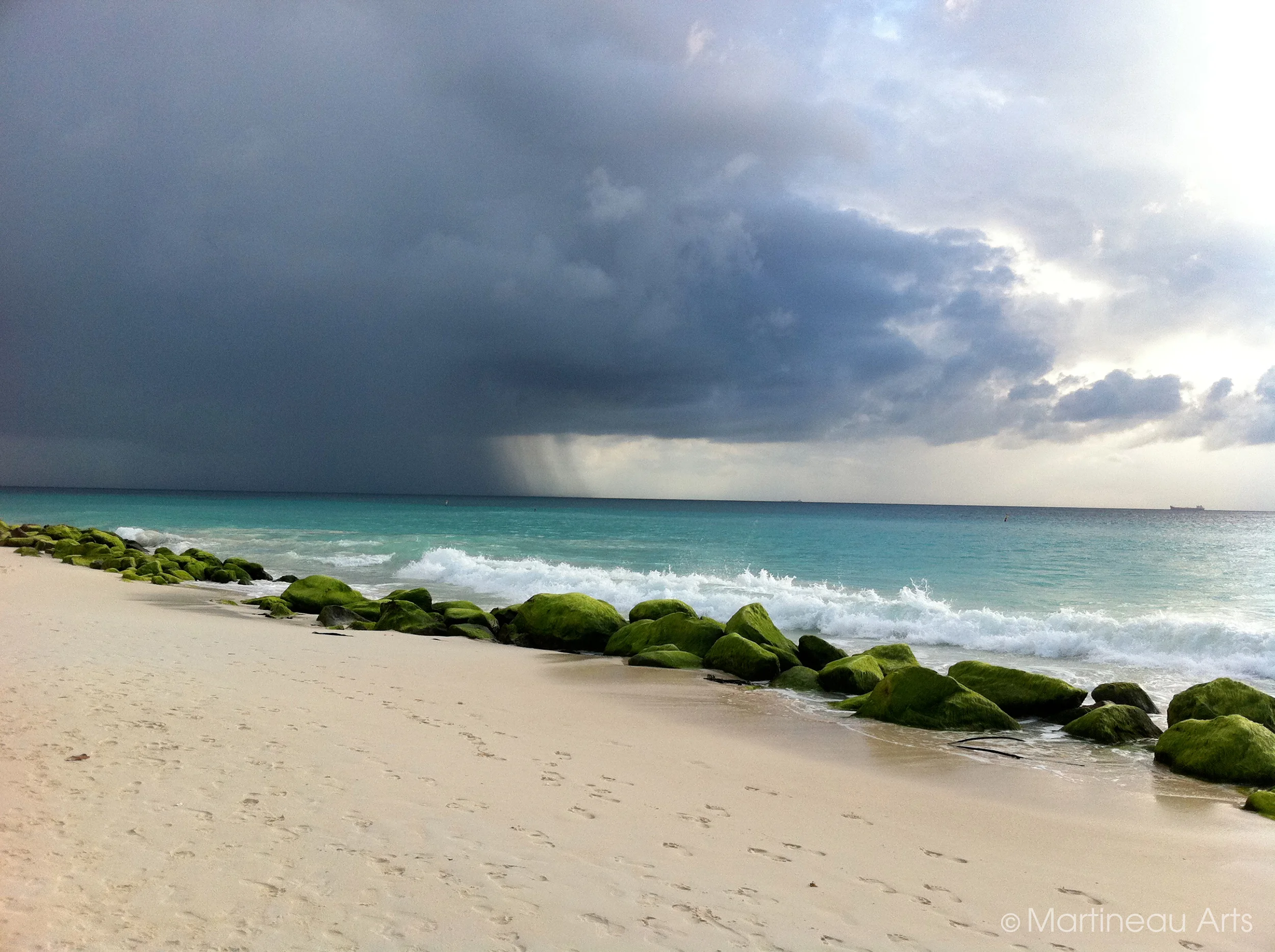 aruban contrasts.JPG