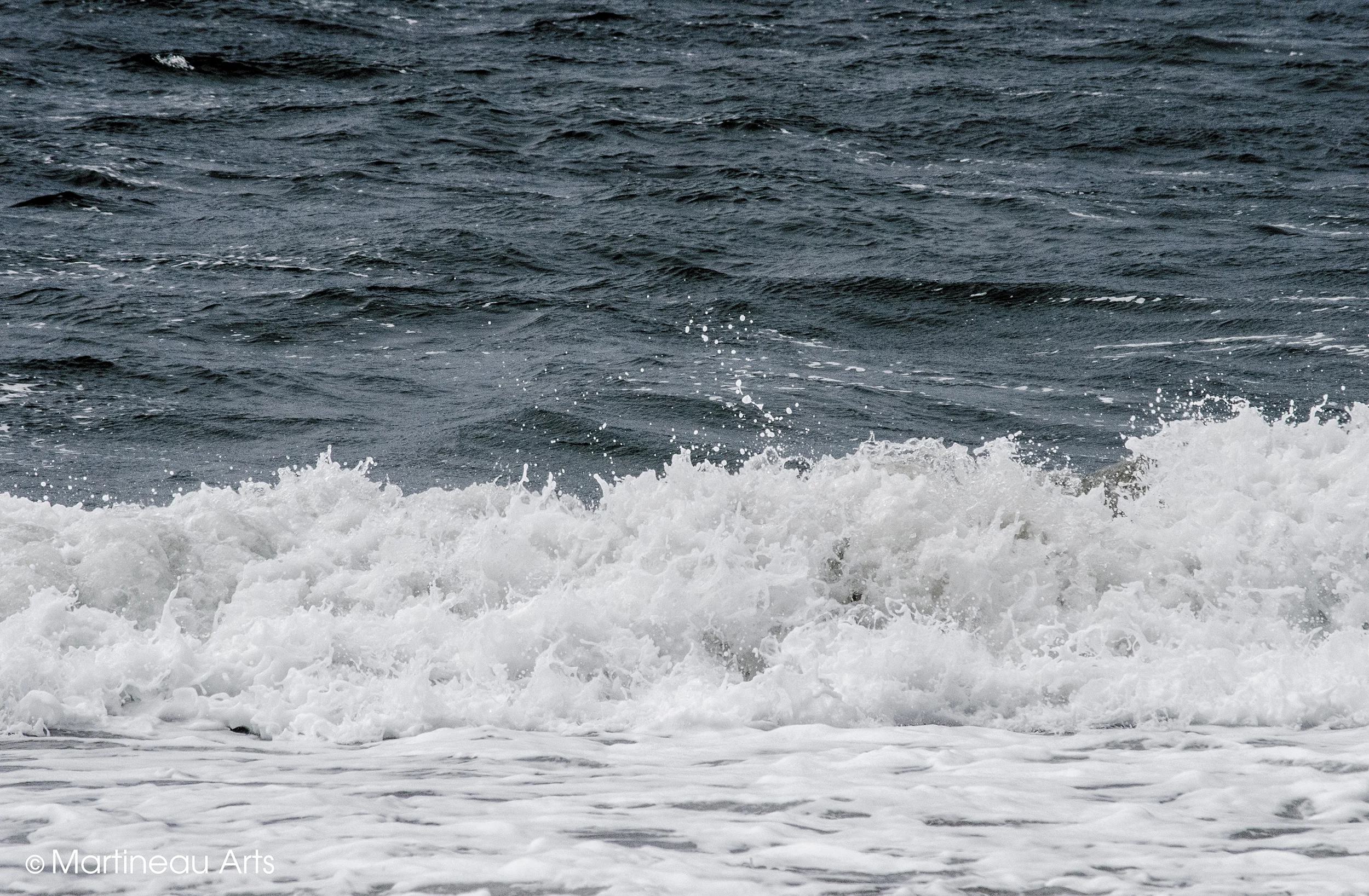 DSC_0062.jpg