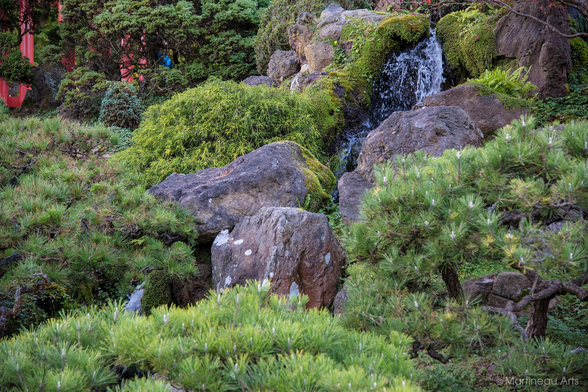 DSC_0427.jpg