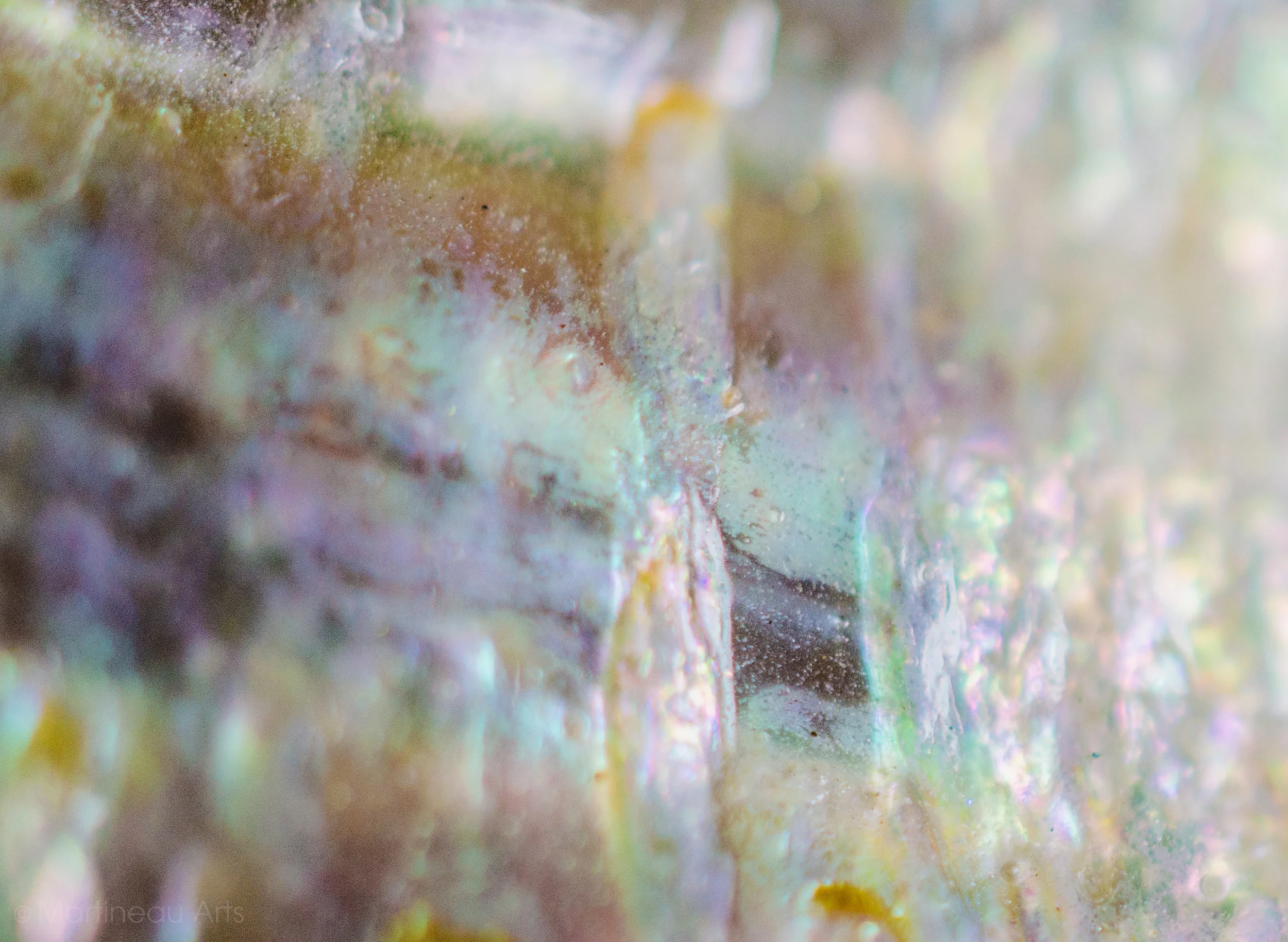 DSC_0004_web.jpg
