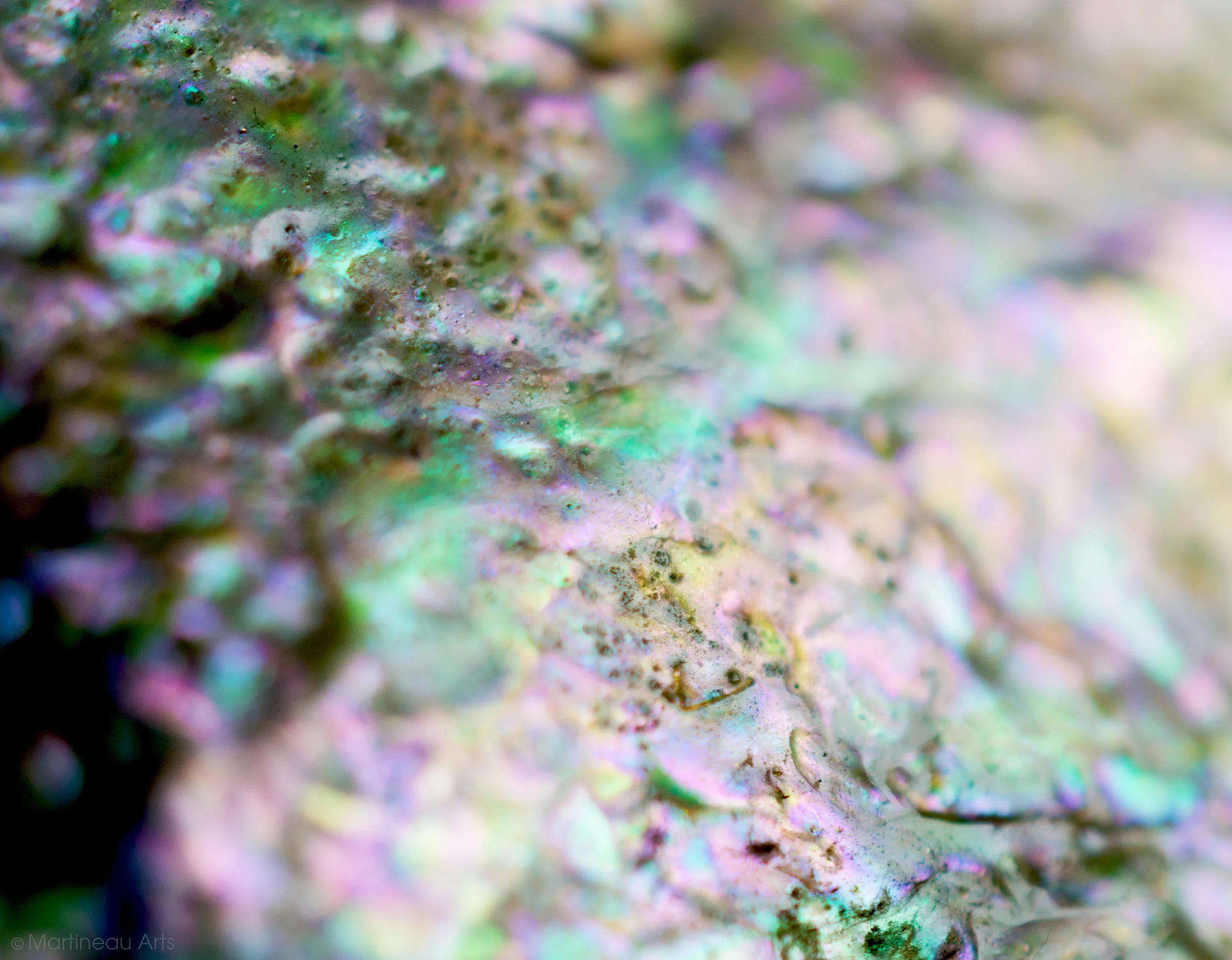 DSC_0016_web.jpg