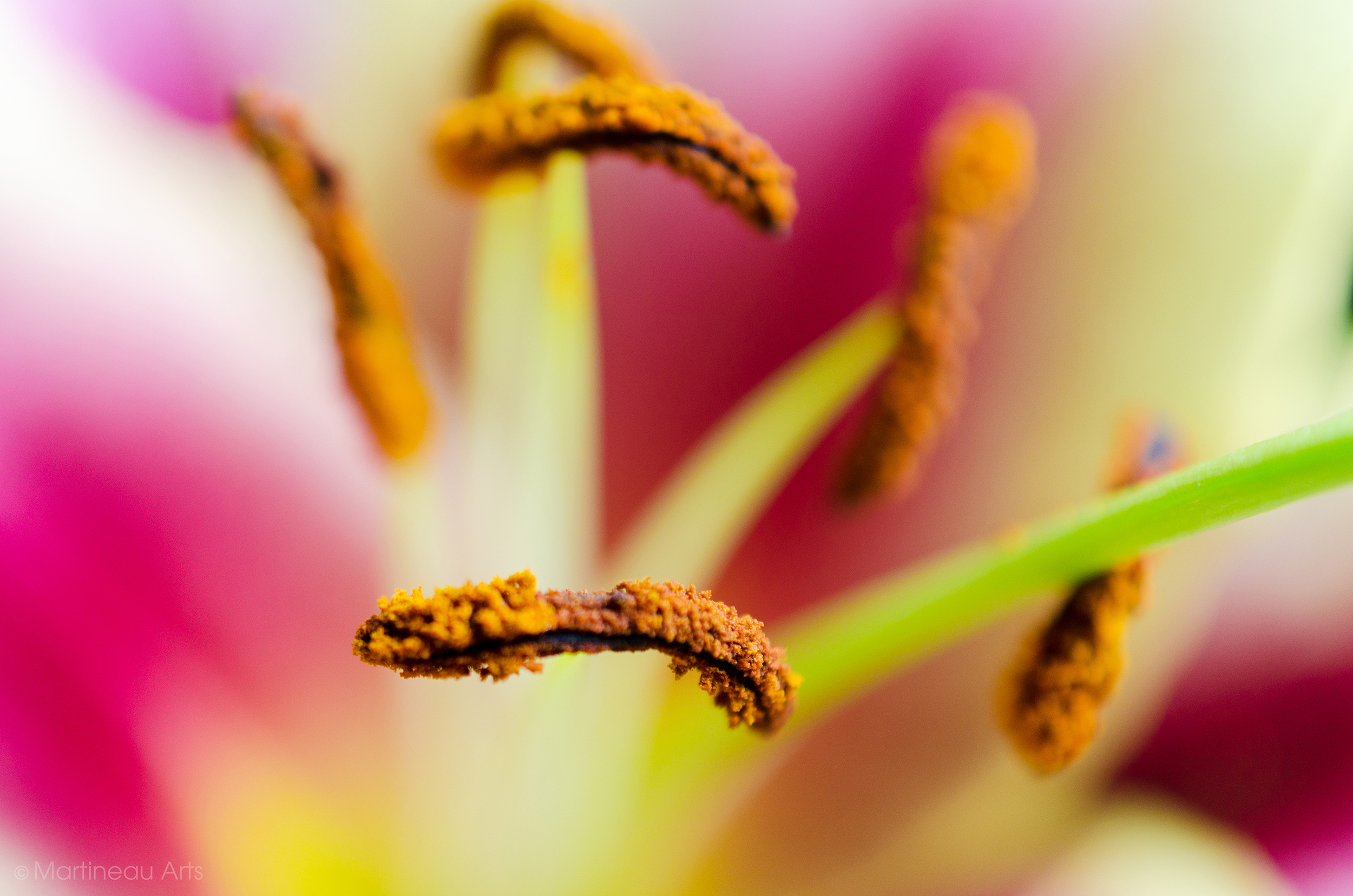 DSC_0020_web.jpg