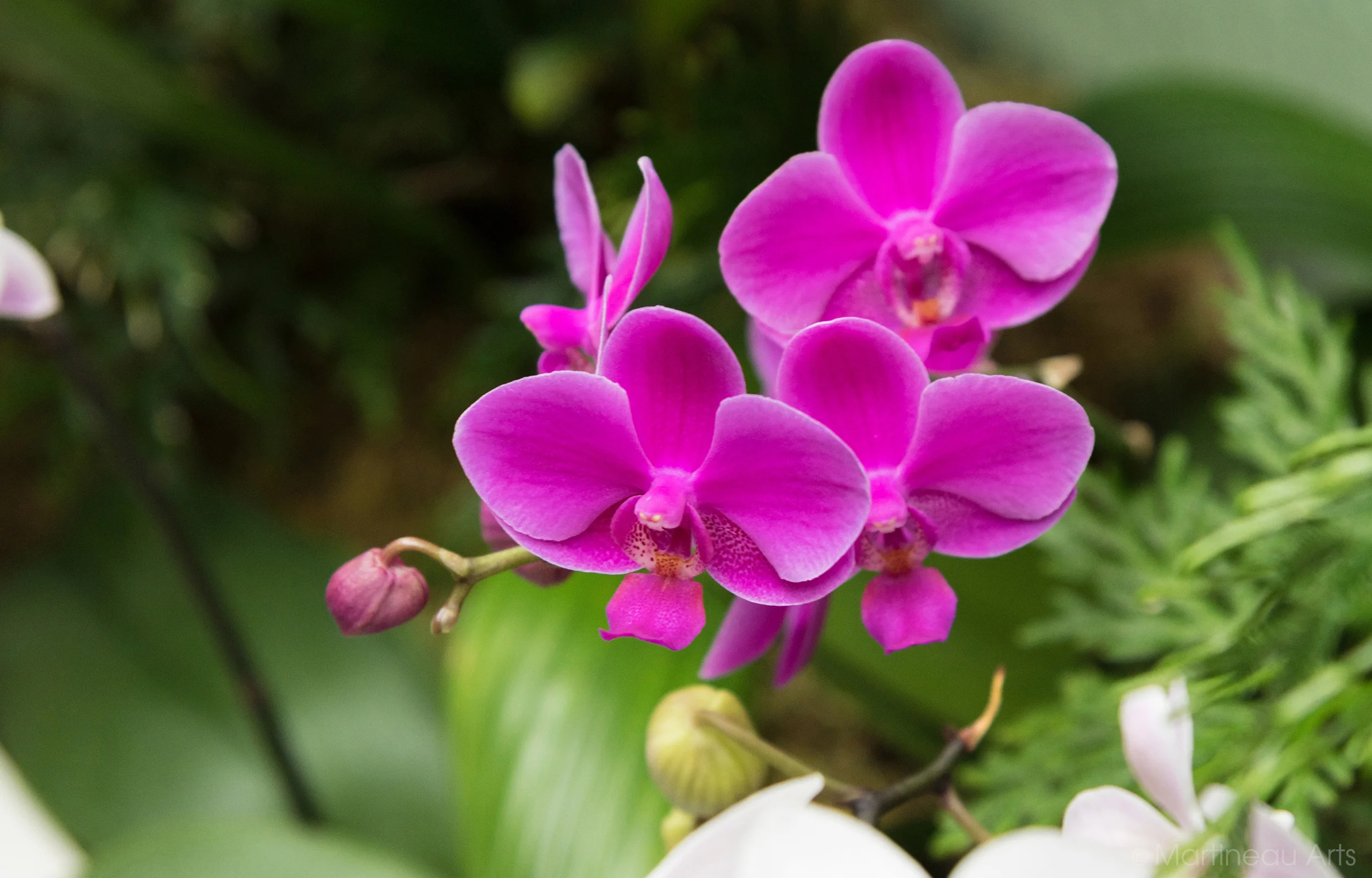 DSC_0985_web.jpg