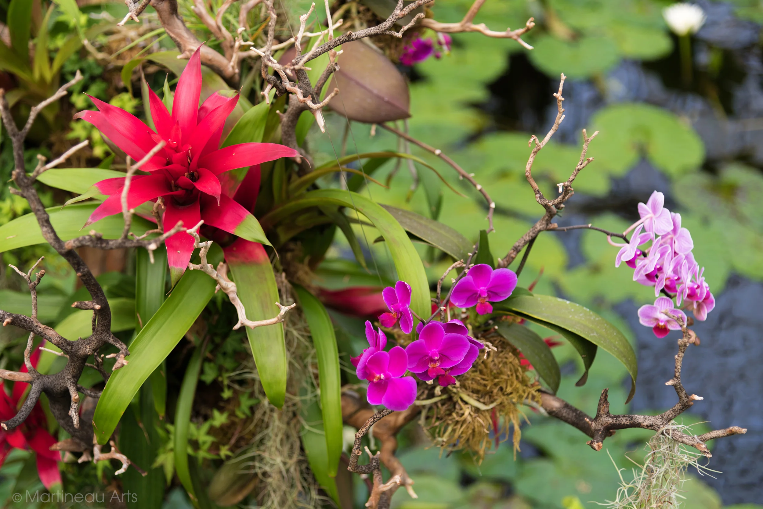 DSC_1114_web.jpg
