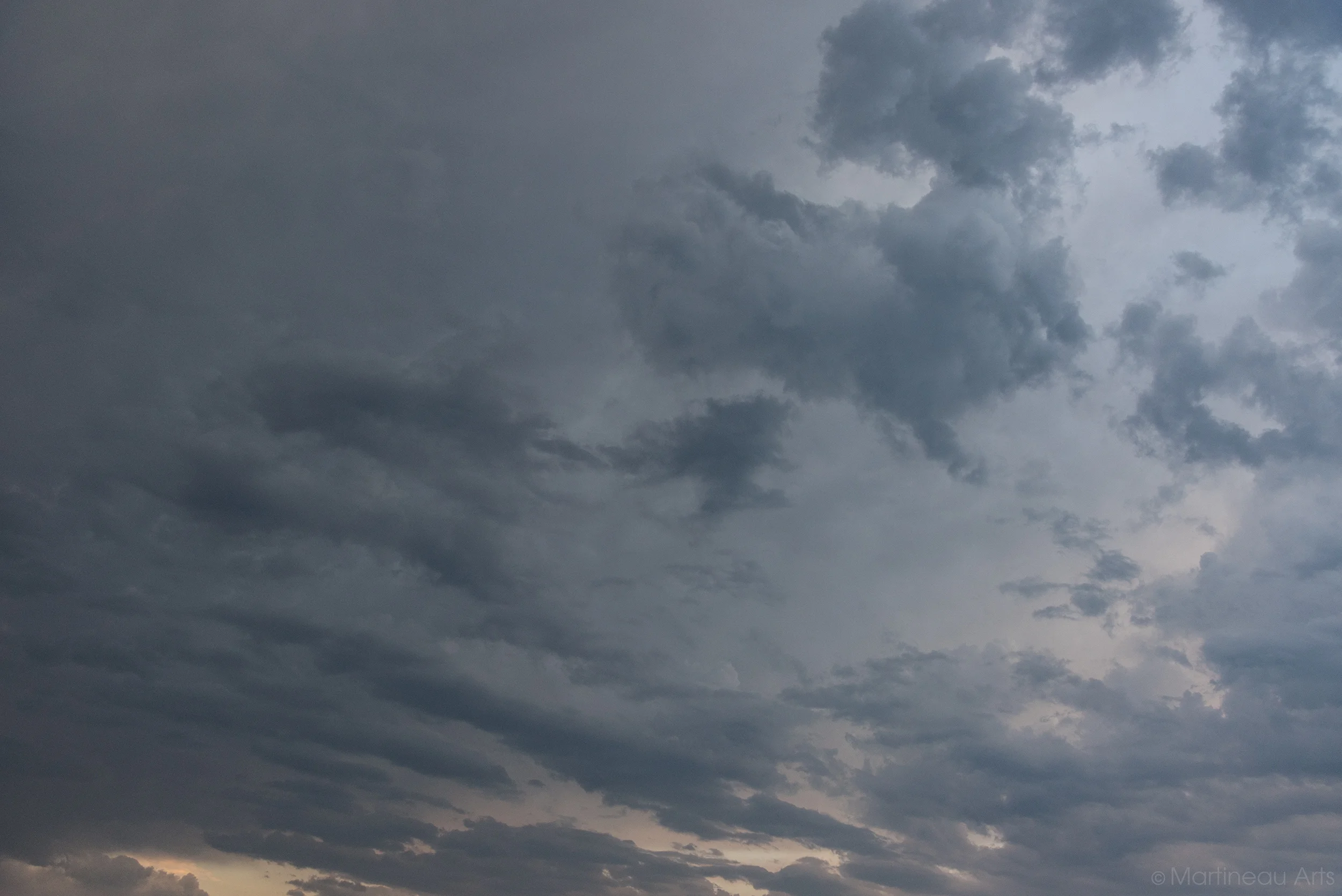 DSC_2178_web.jpg