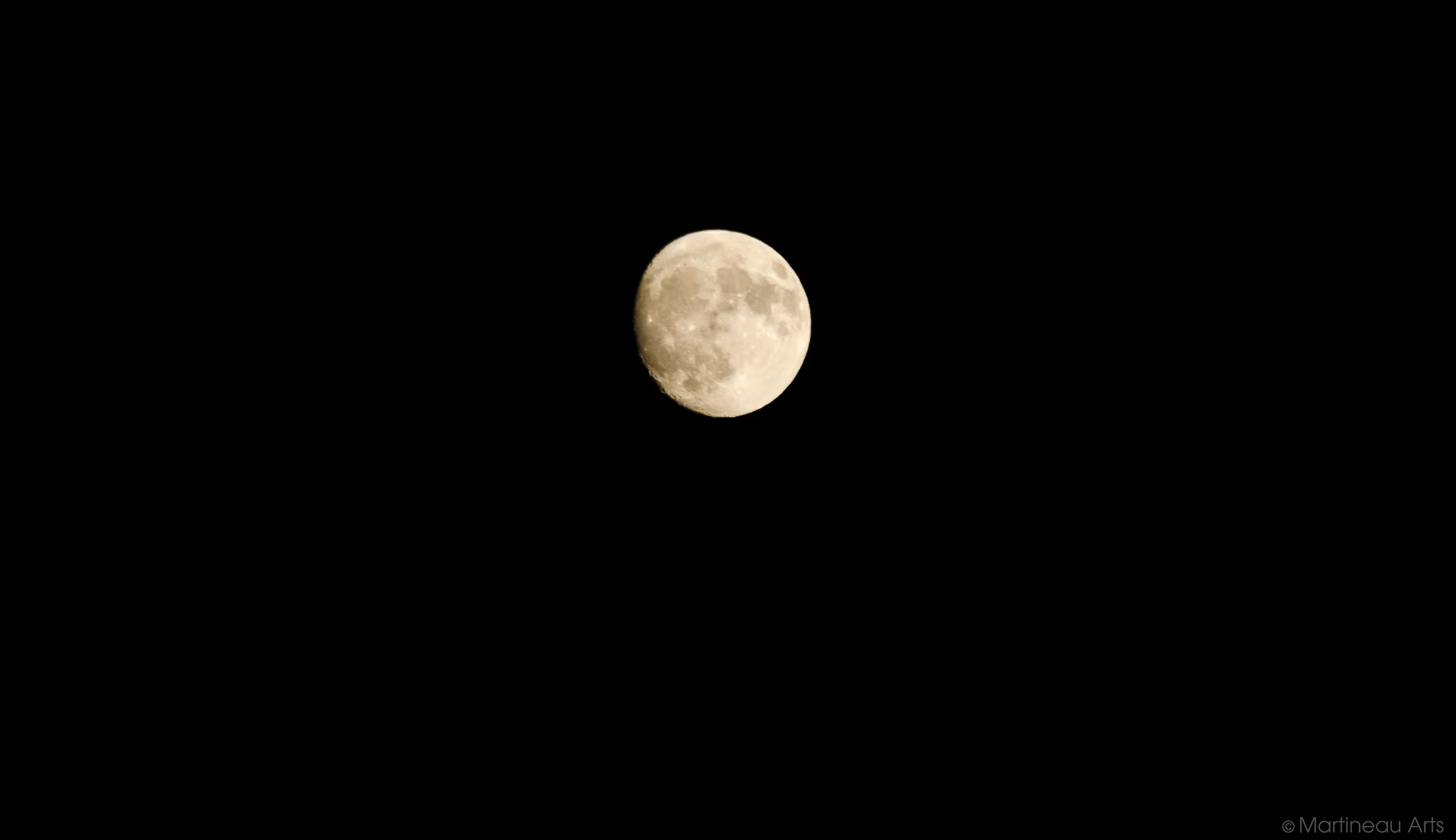 DSC_0002_web.jpg