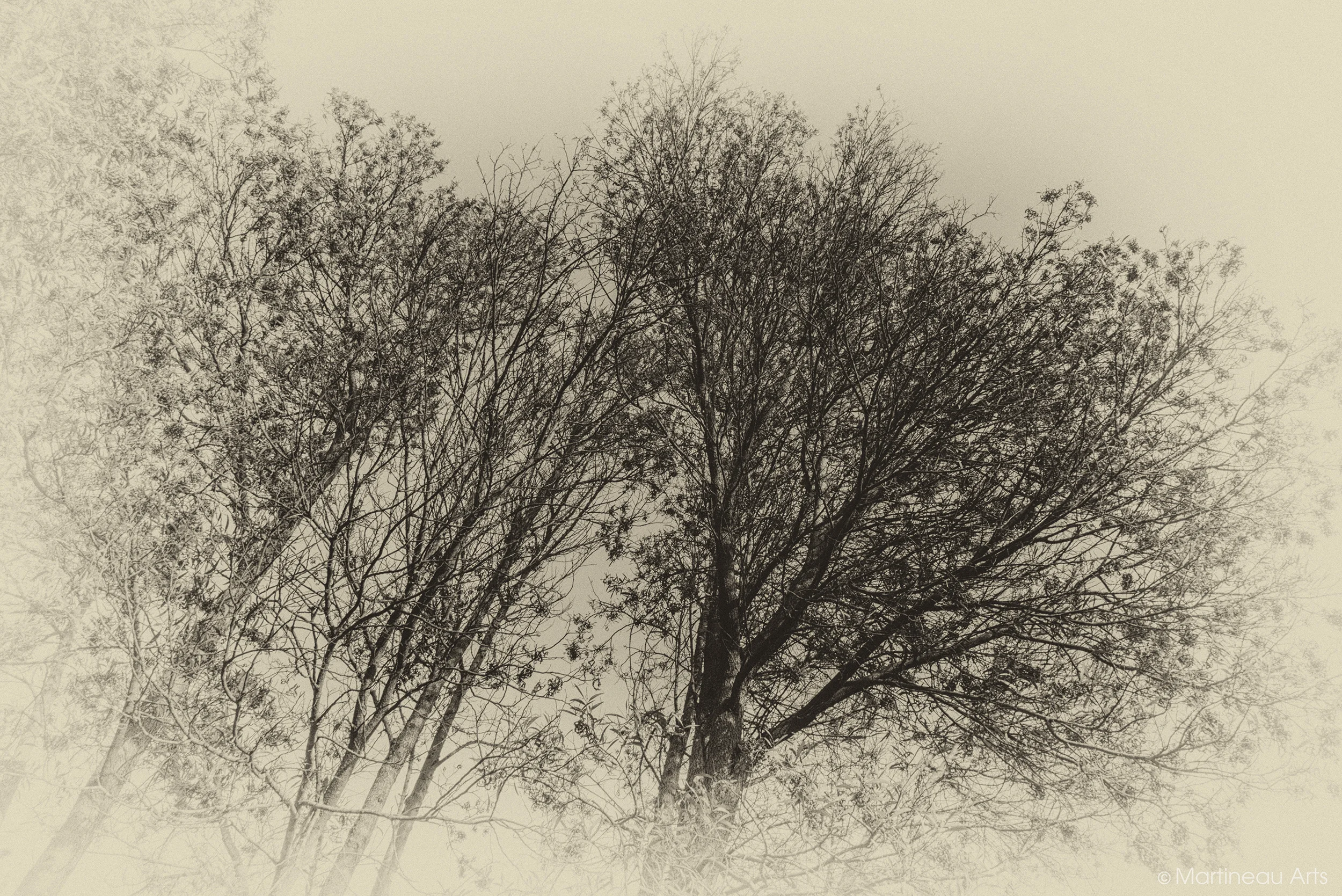 DSC_8343_web.jpg