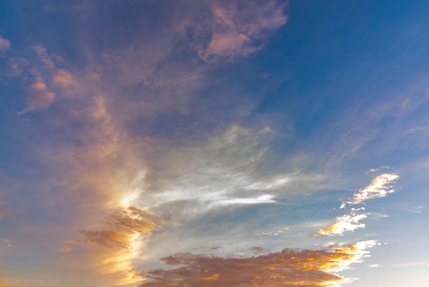DSC_7323_web.jpg