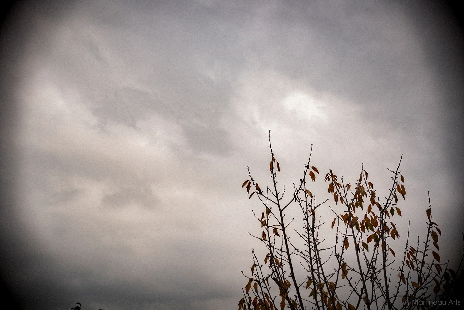 DSC_5872_web.jpg