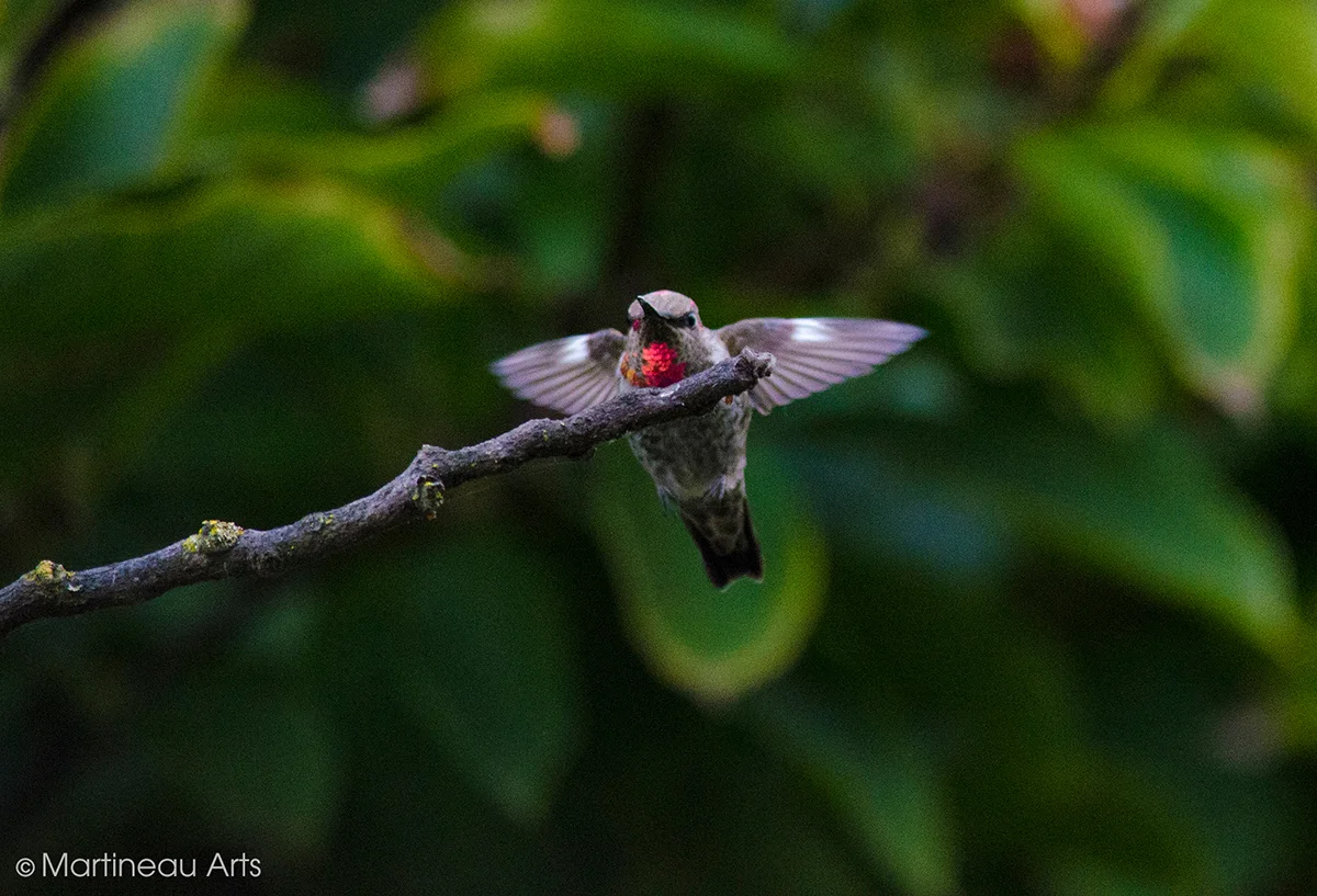 DSC_0083.jpg