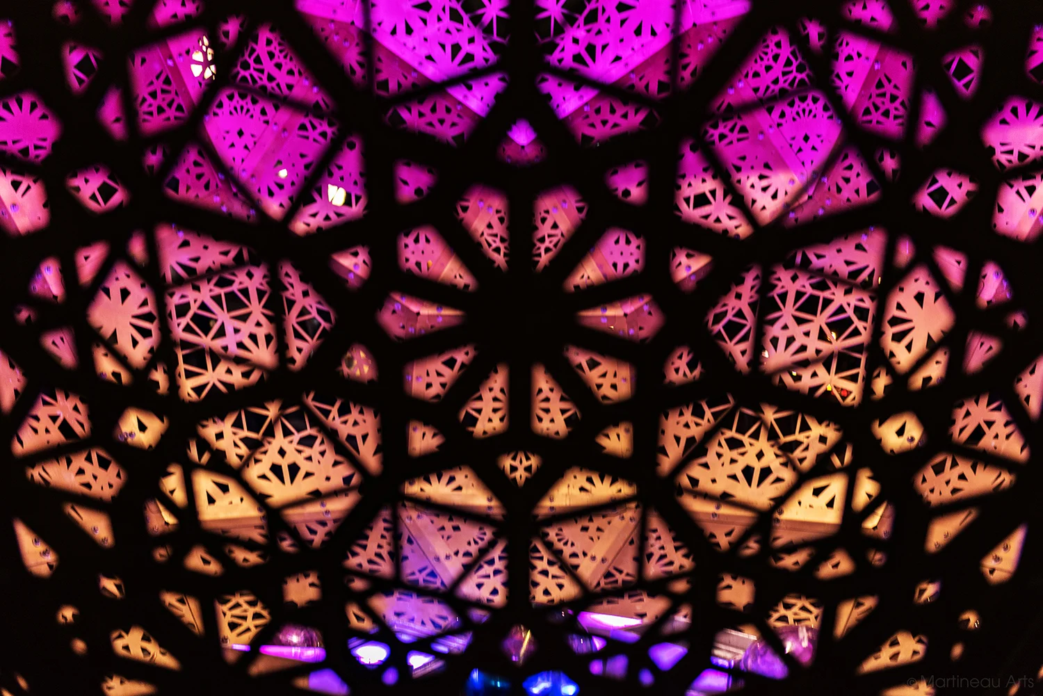 DSC_7198_web.jpg