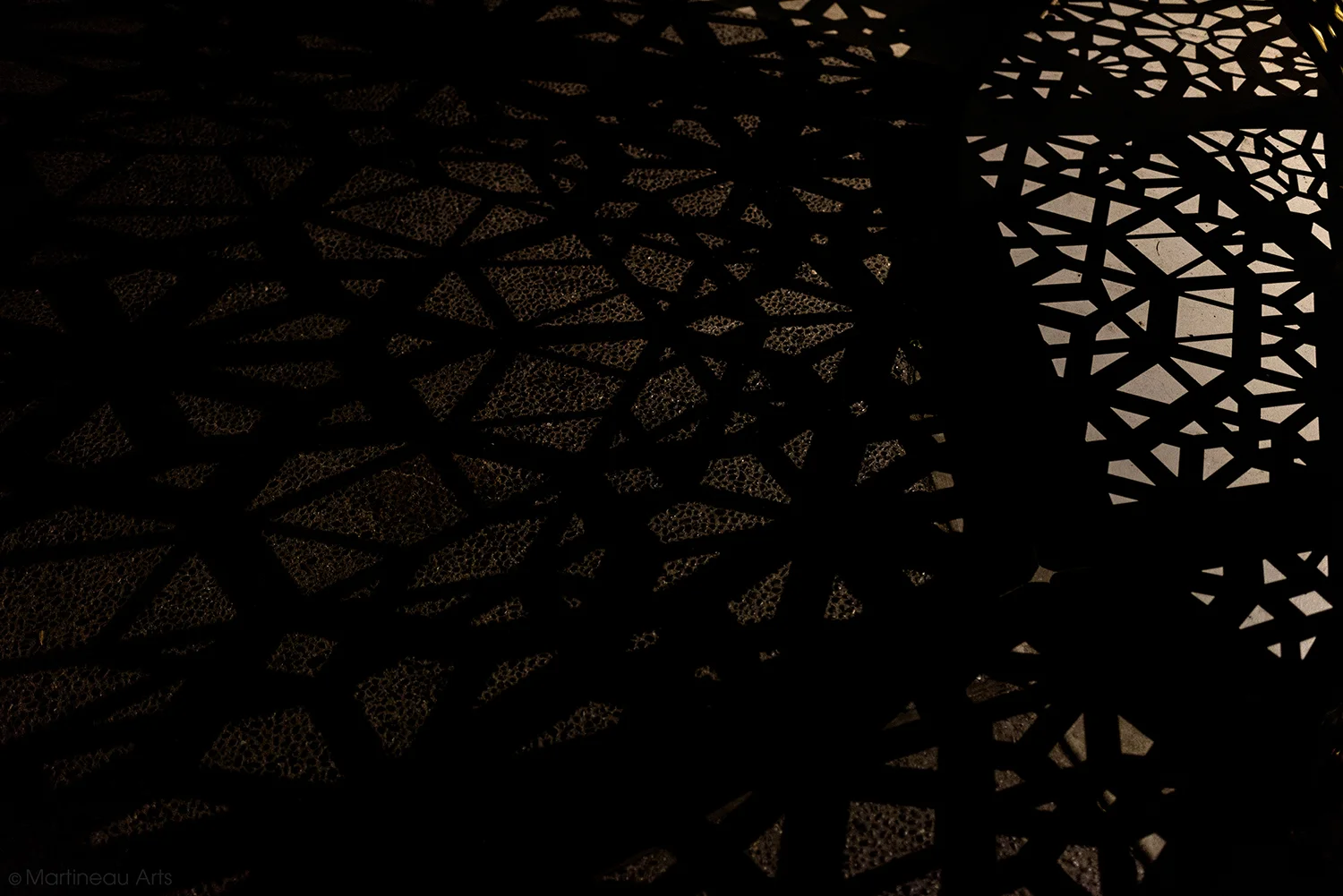 DSC_7238_web.jpg